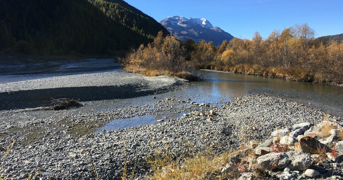 Podcast: Wenn der Bagger die Natur an den Fluss zurückbringt