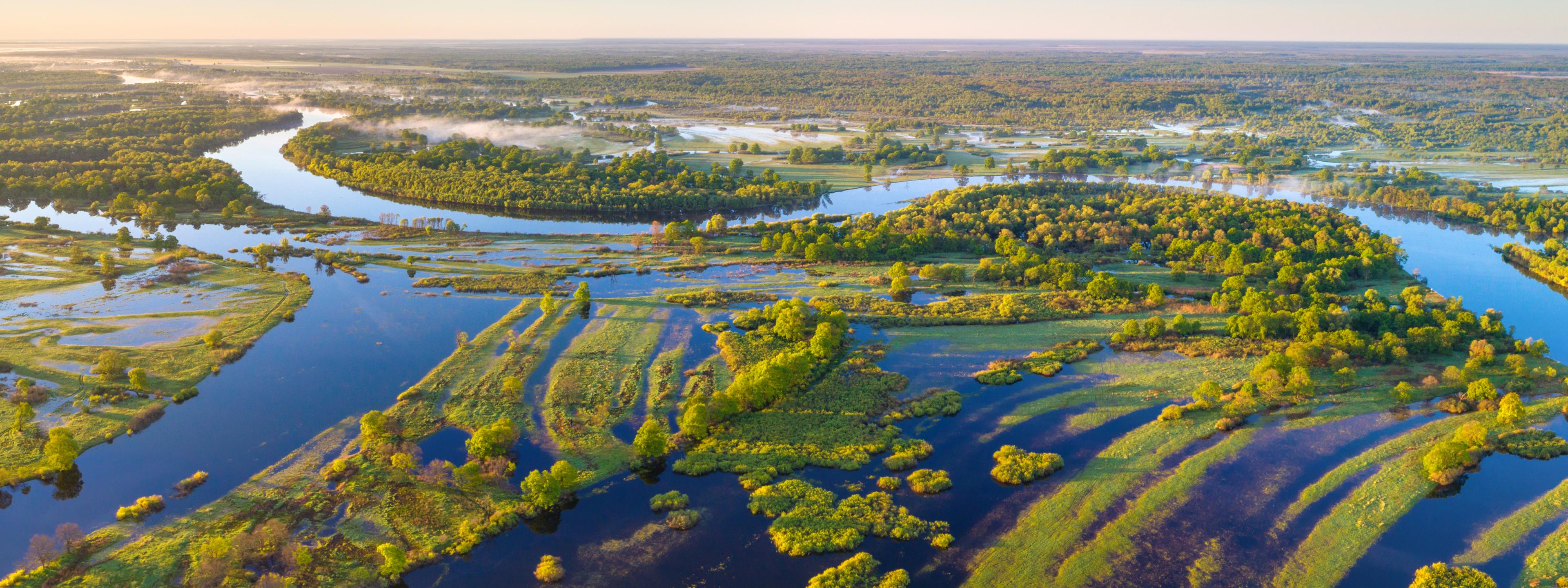 Nur noch wenige Flussauen sind in Deutschland unberührt. Flussauen wie die des weißrussischen Flusses Prypiac gibt es nicht mehr.