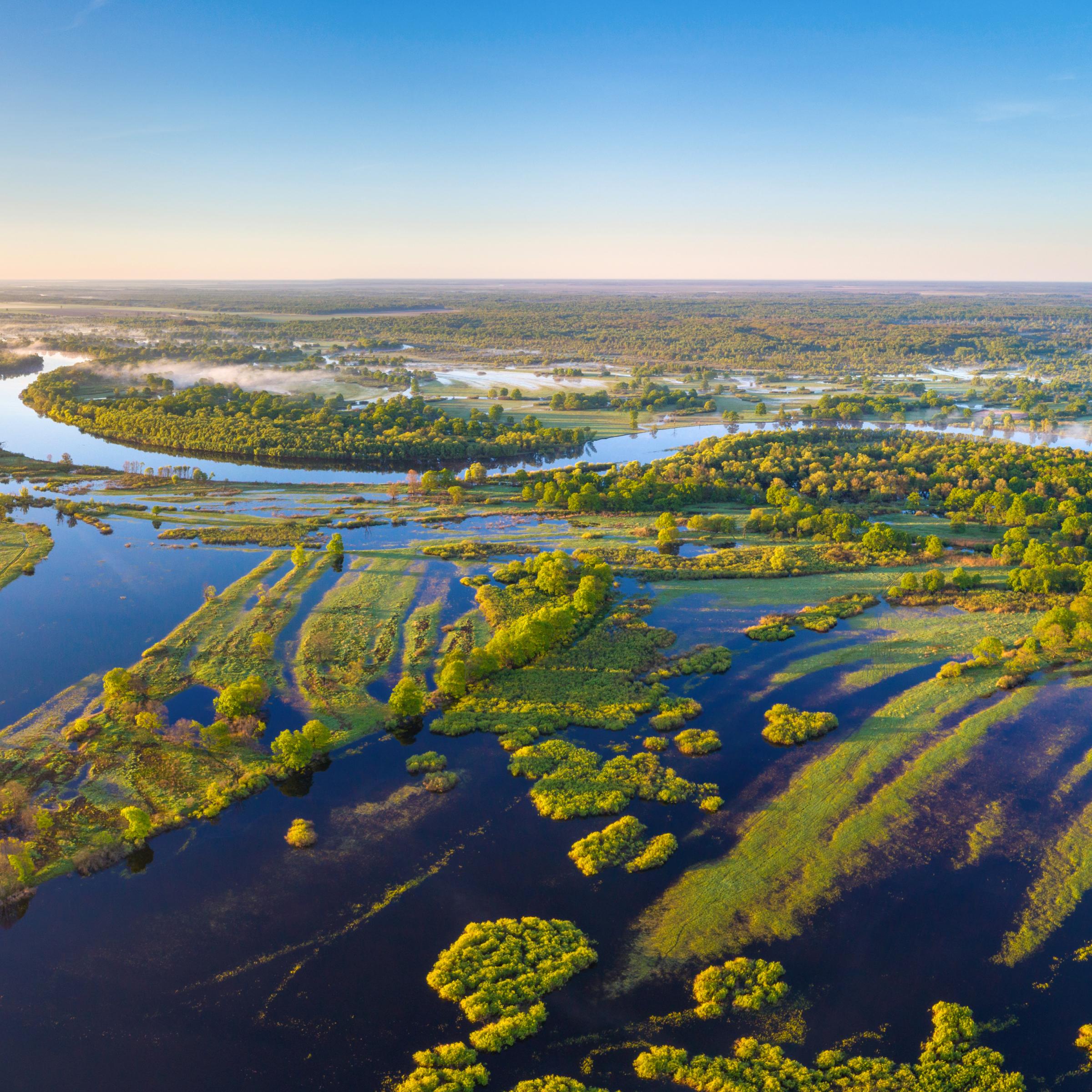 Nur noch wenige Flussauen sind in Deutschland unberührt. Flussauen wie die des weißrussischen Flusses Prypiac gibt es nicht mehr.