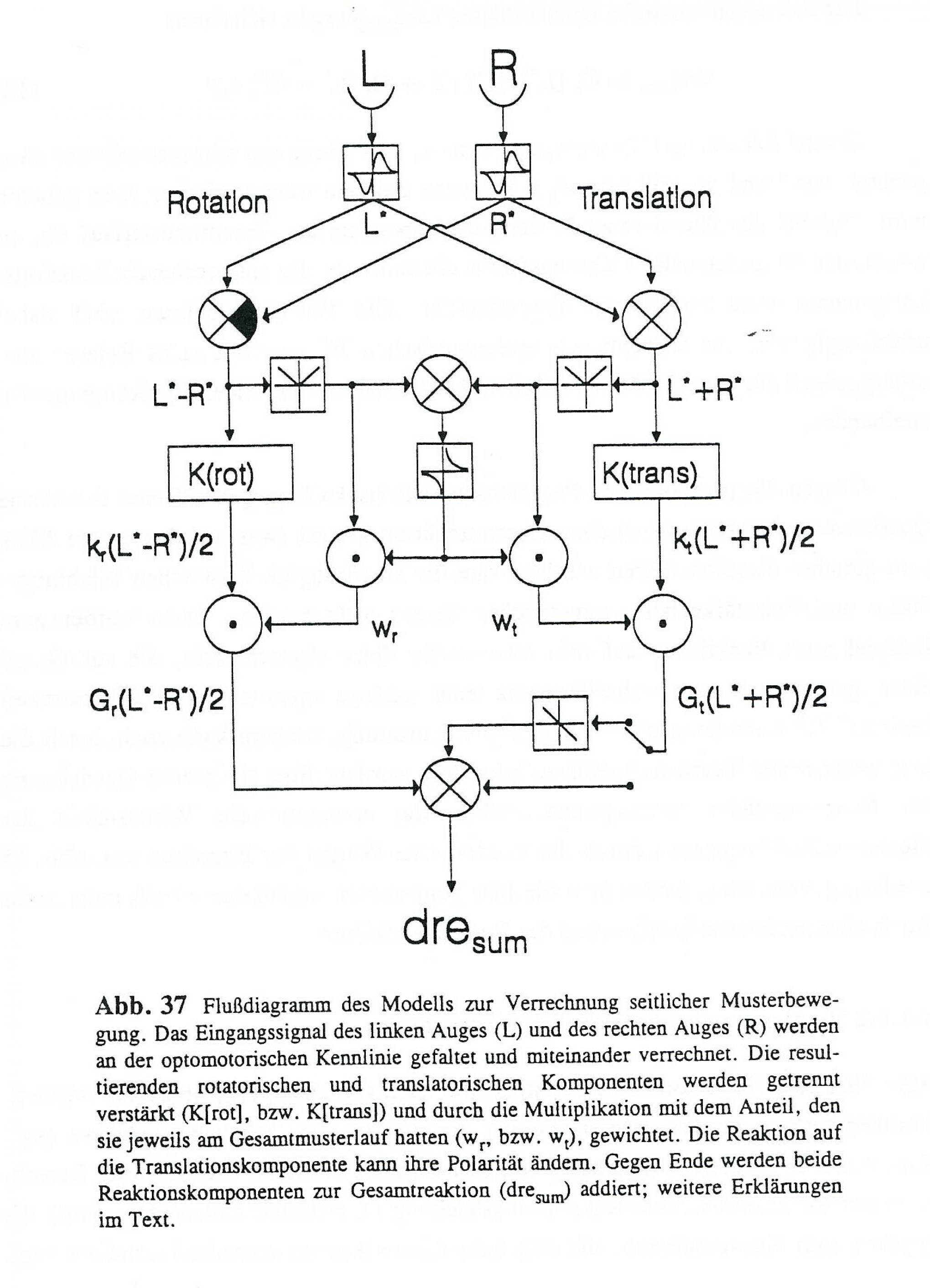 Eine technische Zeichnung zeigt das Flussdiagramm des Modells zur Verrechnung seitlicher Musterbewegungen bei fliegenden Wüstenheuschrecken.