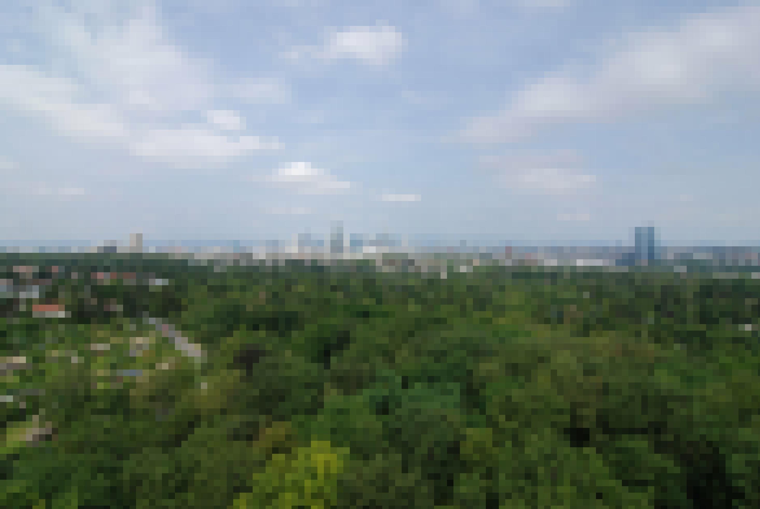 Frankfurt am Main. Ansicht von der Aussichtsplattform des 43 Meter hohen „Goetheturms“ im Stadtwald Frankfurt Sachsenhausen. Rechts: Das Gebäude der Europäischen Zentralbank (EZB).