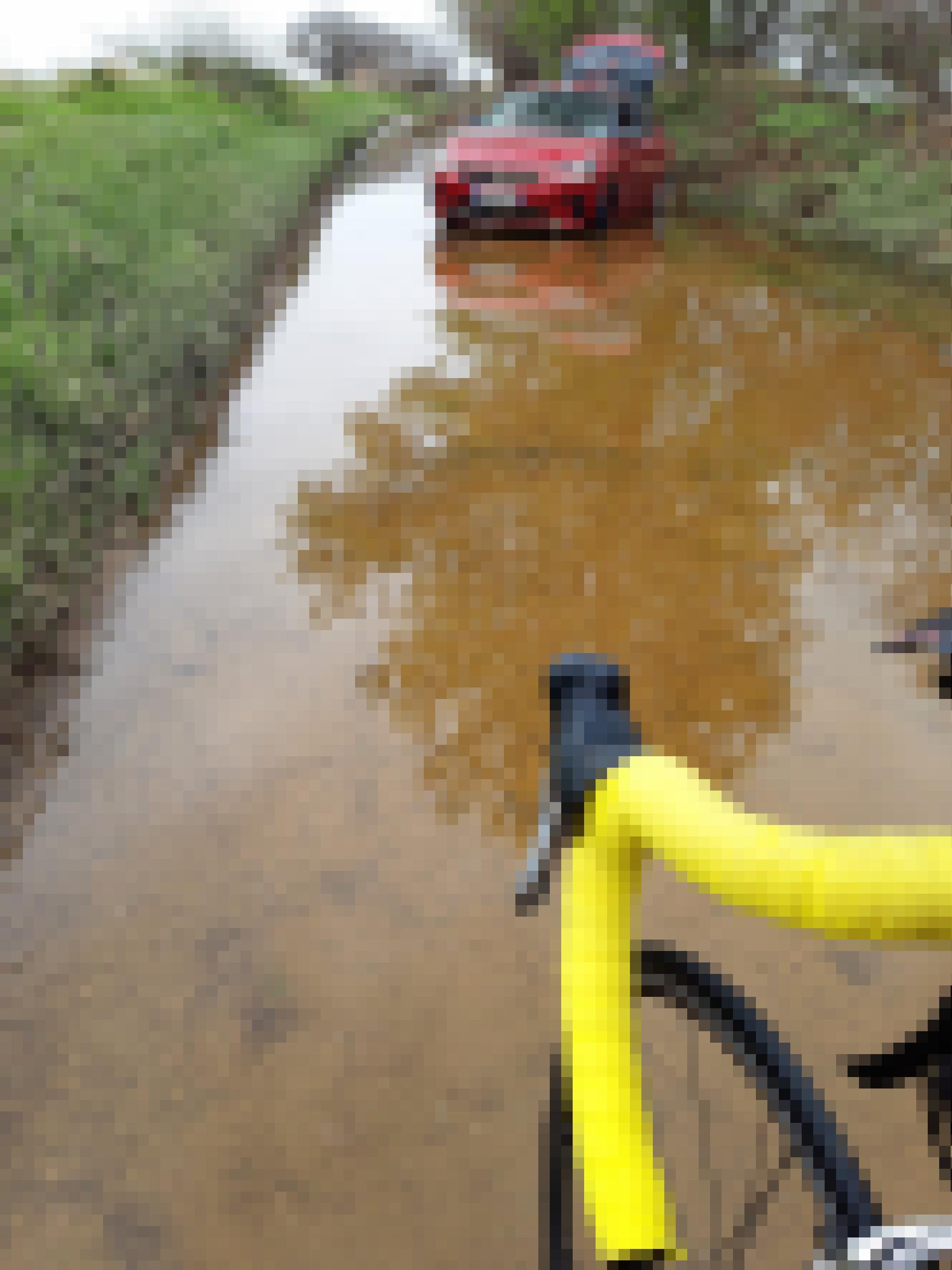 Vor dem gelben Rennradlenker zieht sich eine flussartige Wasserspur, in der weiter vorne ein rotes Auto quer steht.