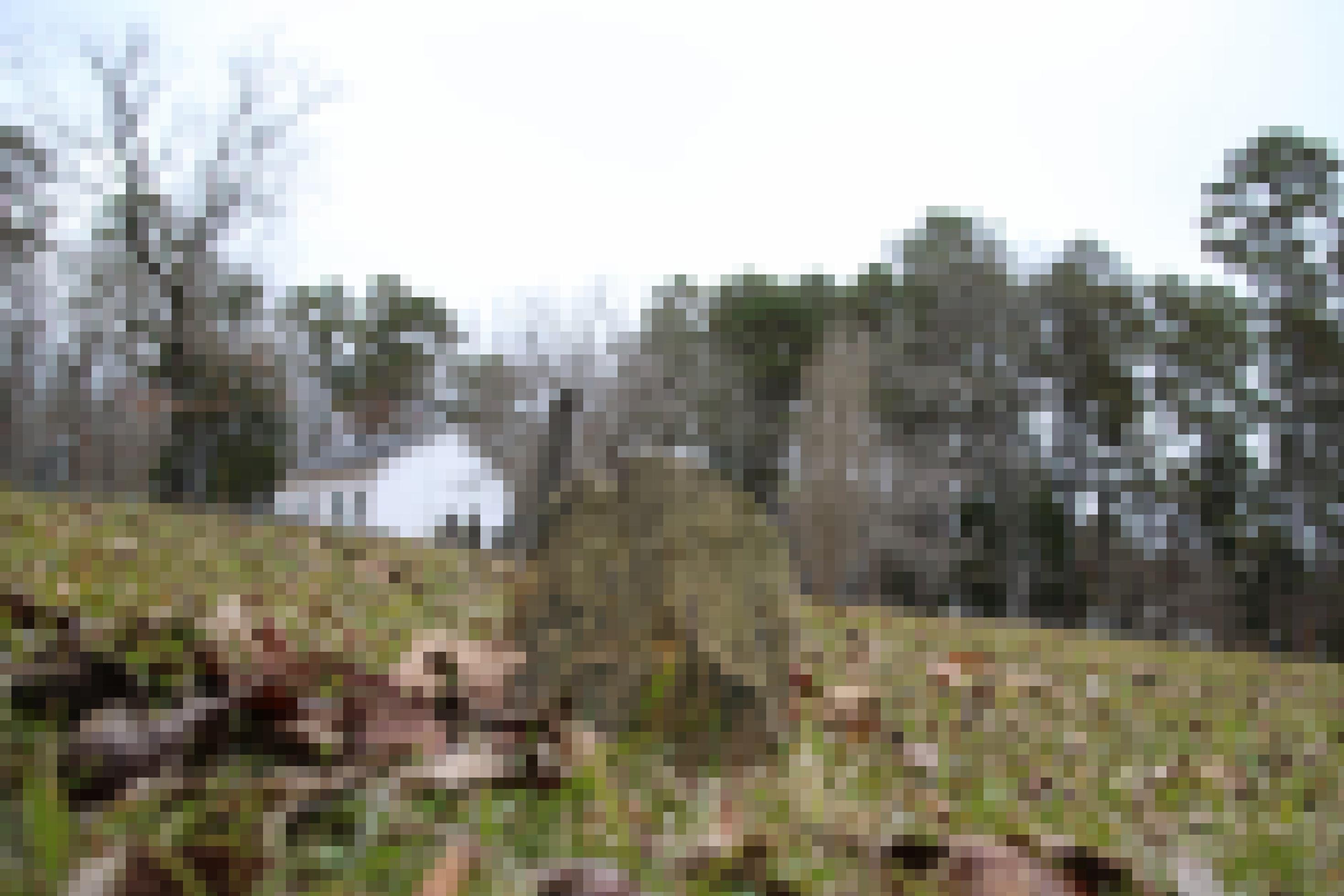 Ein Stein liegt auf einer Rasenfläche. Im Hintergrund sind Grabsteine zu sehen.