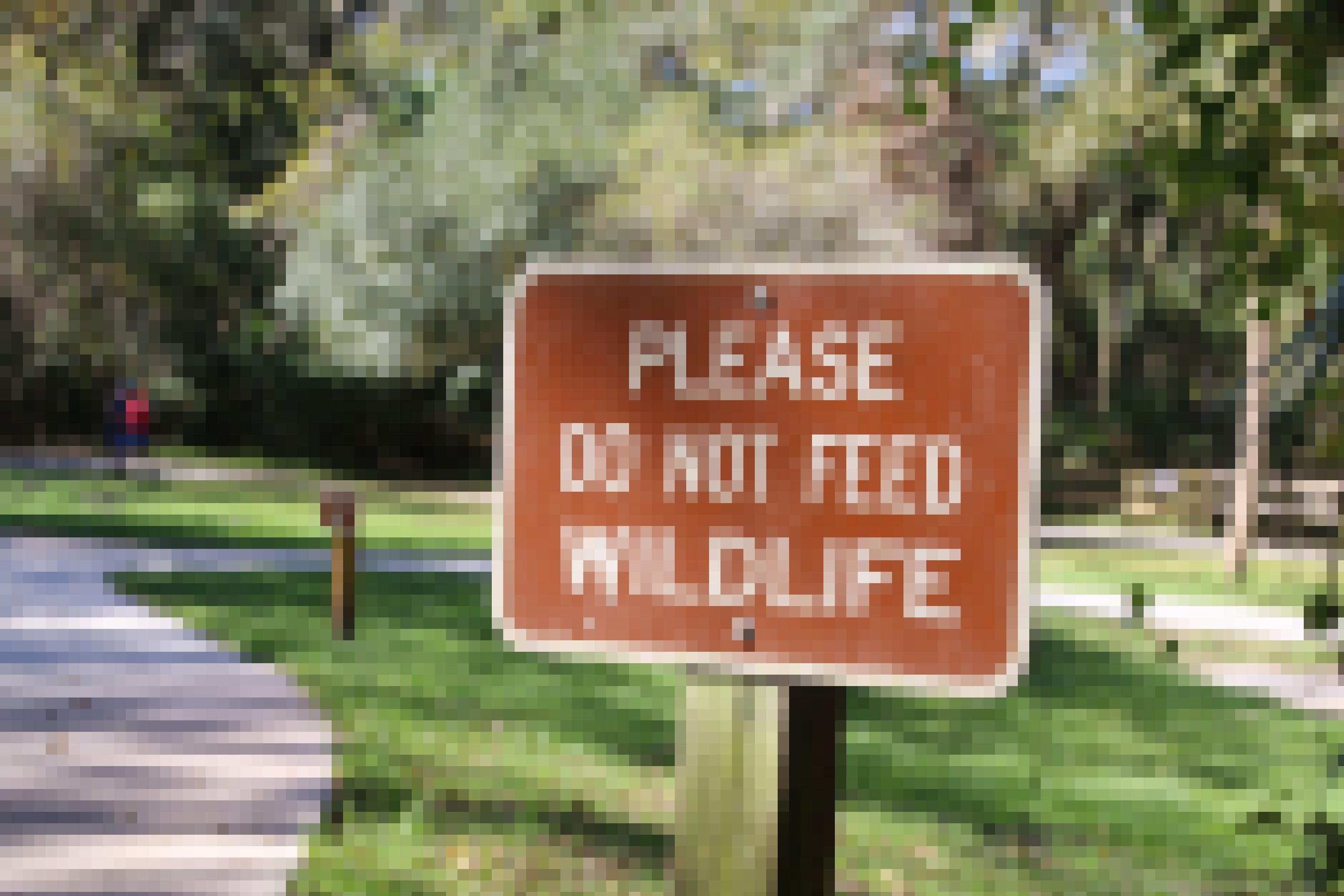 Ein Schild weist auf das Fütterverbot von Tieren hin