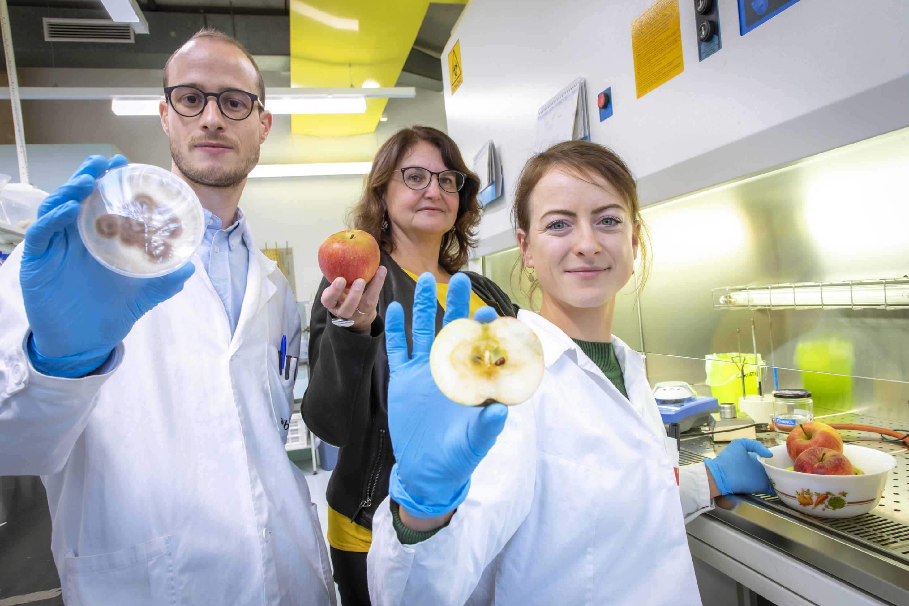 Prof. Gabriele Berg steht mit zwei Mitarbeitern im Labor. Sie hält einen Apfel in der Hand, an dem sie das Mikrobiom erforscht.