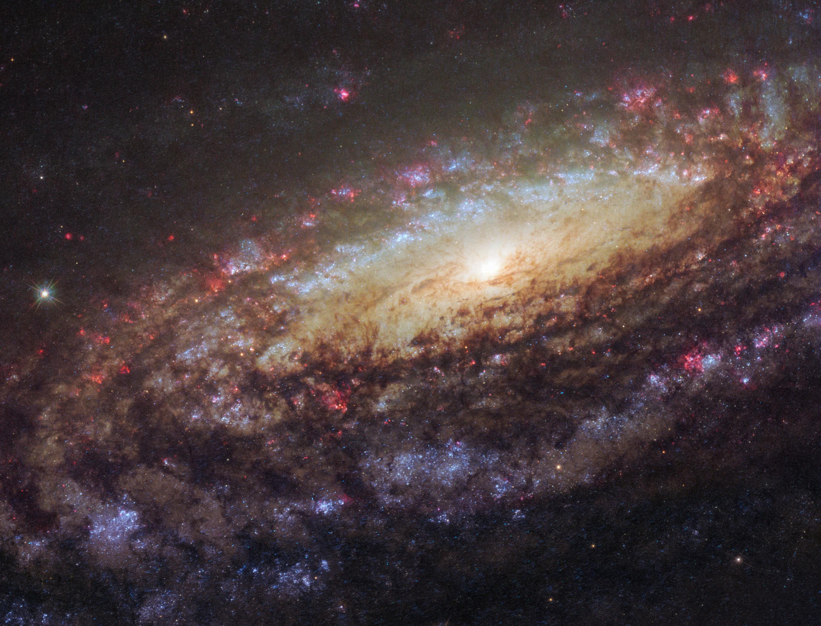 Dieses Foto des Hubble-Weltraumteleskops zeigt die Galaxie NGC 7331, die im Sternbild Pegasus, rund 50 Millionen Jahren von uns entfernt, liegt. Zu sehen ist eine flache, nach vorne geneigte Scheibe, in der Spiralarme zu erkennen sind und unzählige Sterne in verschiedensten Farben leuchten. In den Spiralarmen leuchten hell strahlende, blaue Sterne, die jung und massereich sind. Daneben gibt es in den Spiralarmen rötlich leuchtende Zonen: die Geburtsstäten neuer Sterne. Im zentralen Bereich der Galaxie, etwas rechts oberhalb der Bildmitte sind gelbliche Sterne zu erkennen. Sie sind schon älter und nicht mehr so heiß. NGC 7331 ist eine typische Spiralgalaxie, so wie auch unsere Milchstraße. Von außen betrachtet, würde unsere Galaxis daher ganz ähnlich aussehen.