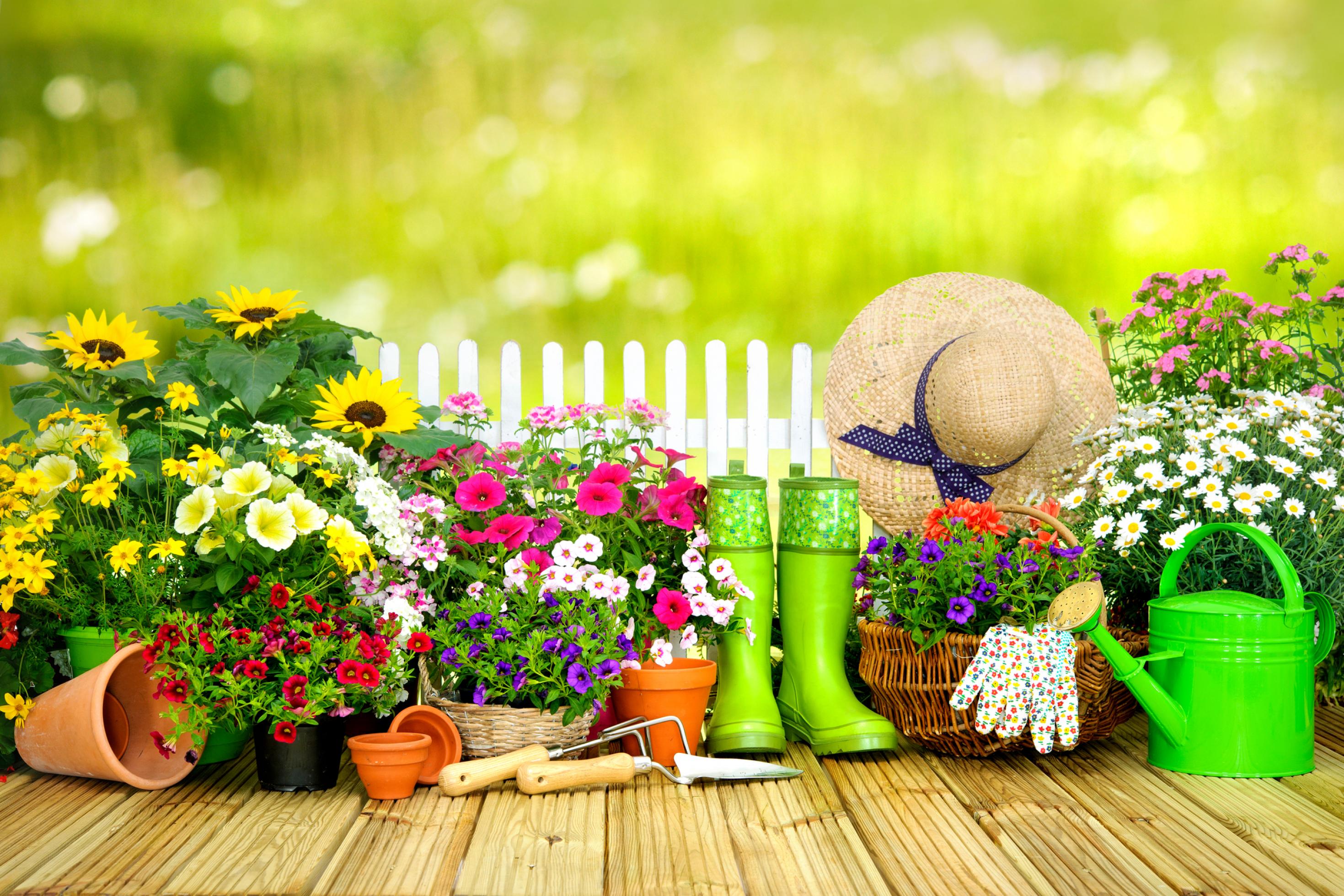 Das Konzept Software Gardening ist inspiriert vom Gärtnern.