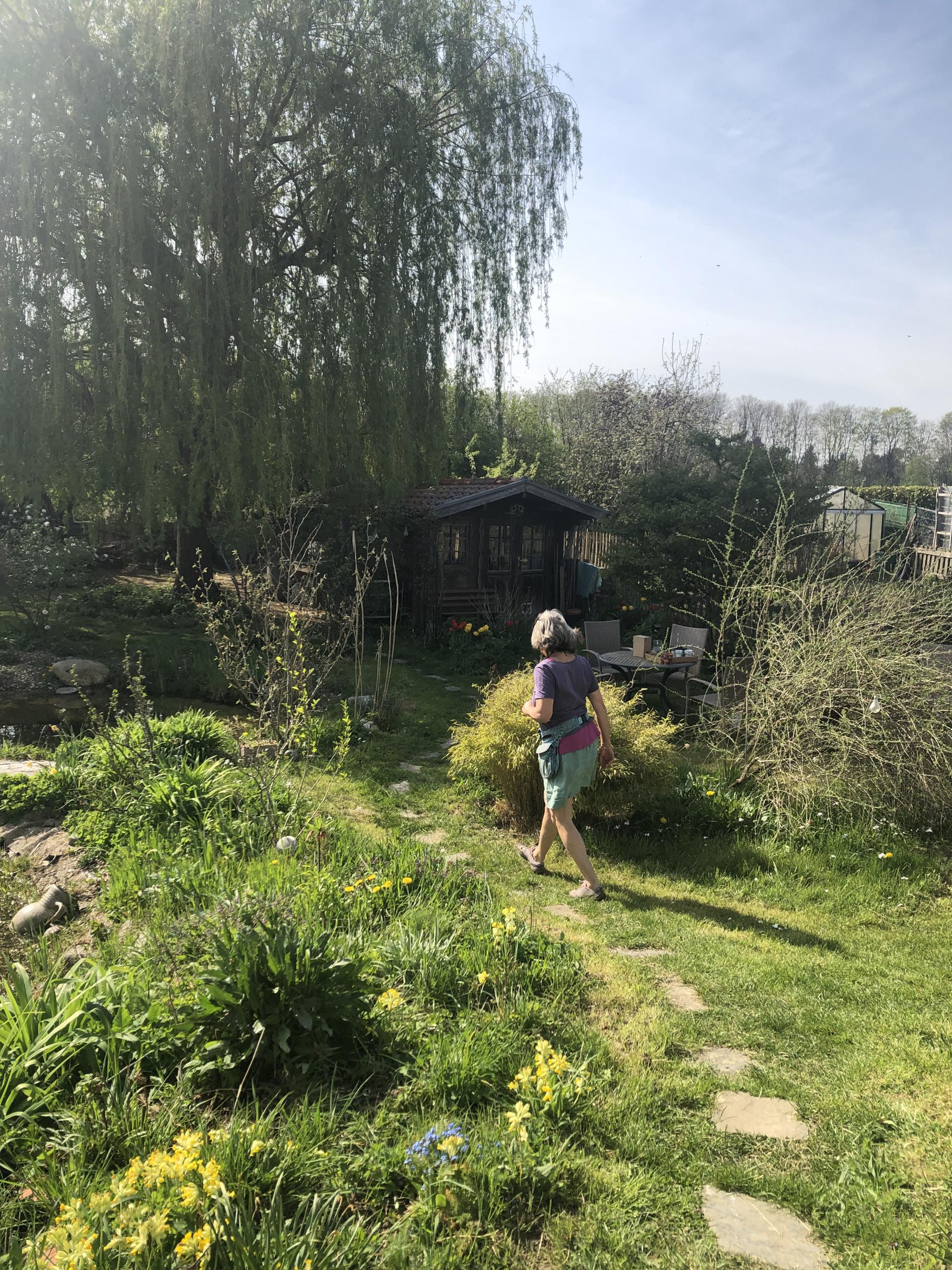 Wege zur Zone 1 in der Permakultur müssen kurz sein: Hier der Weg zum Gemüsegarten.