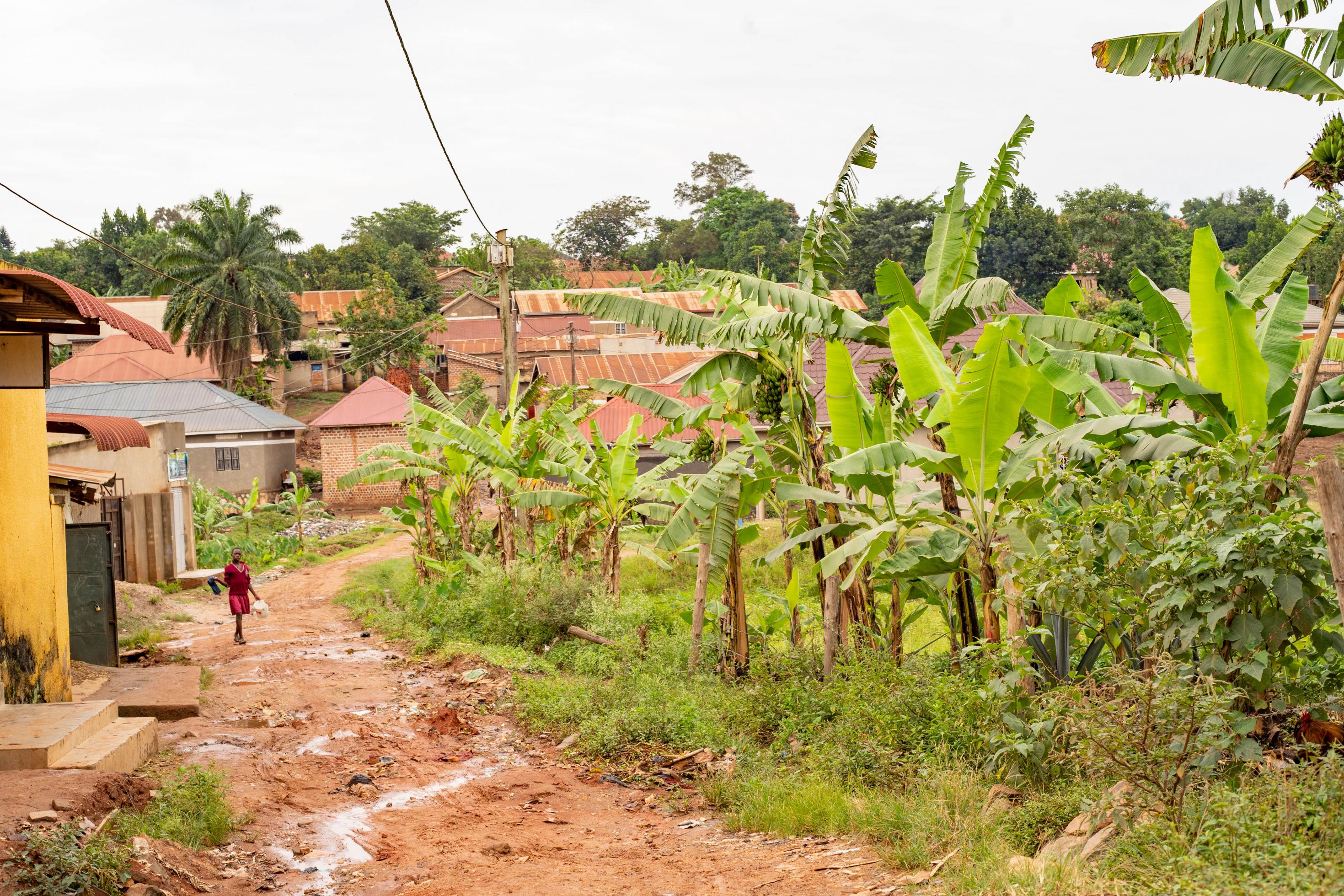 Links im Bild geht ein Mädchen eine ungeerte Straße an Wohnhäusern vorbei, rechts wachsen Banenanstauden