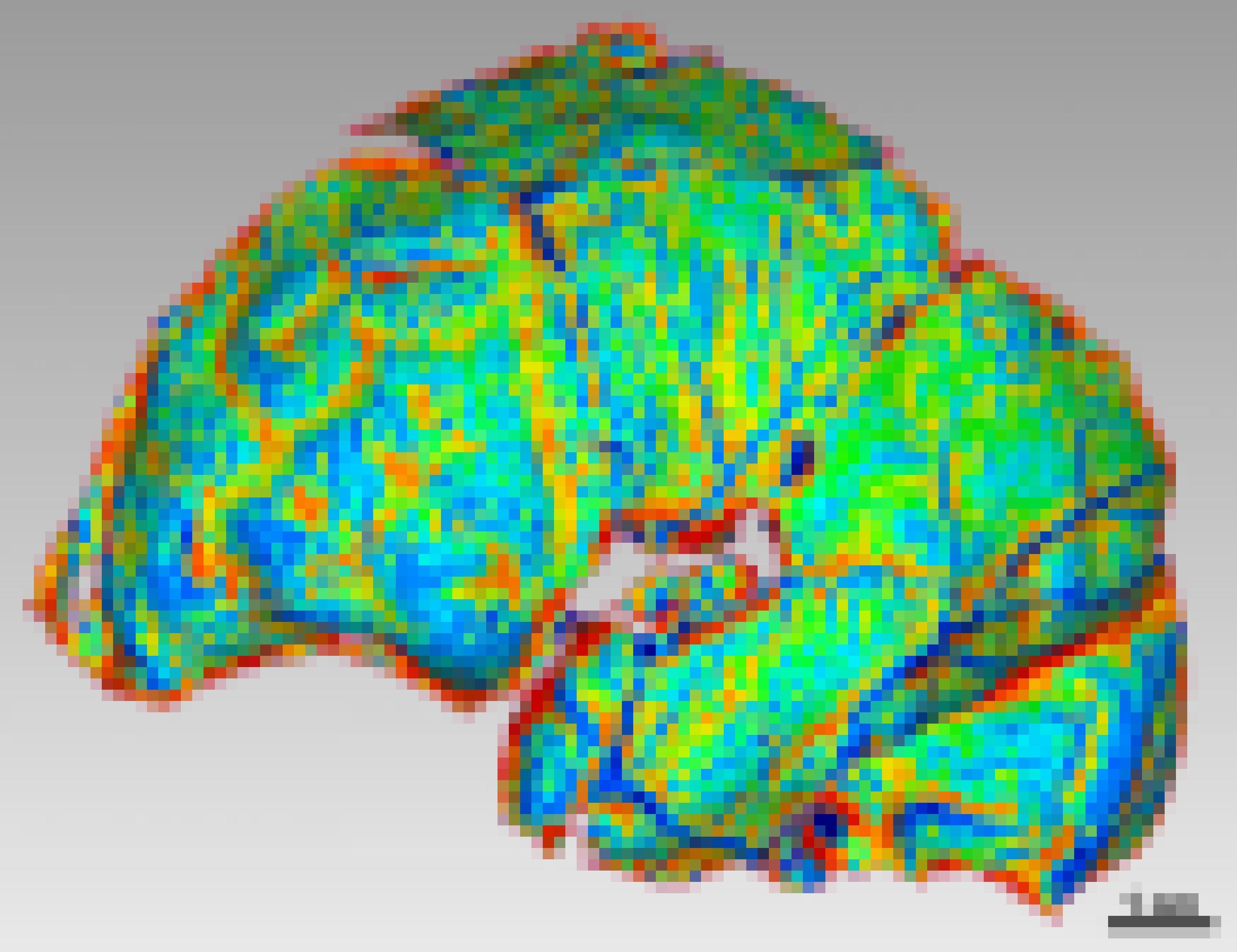 Hier ist die graphische Darstellung vom Inneren der Schädelkapsel eines Homo naledi zu seihen. Strukturen sind in den Farben rot, gelb, grün, blau dargestellt und lassen Bögen und Wölbungen des Gehirns erkennen.