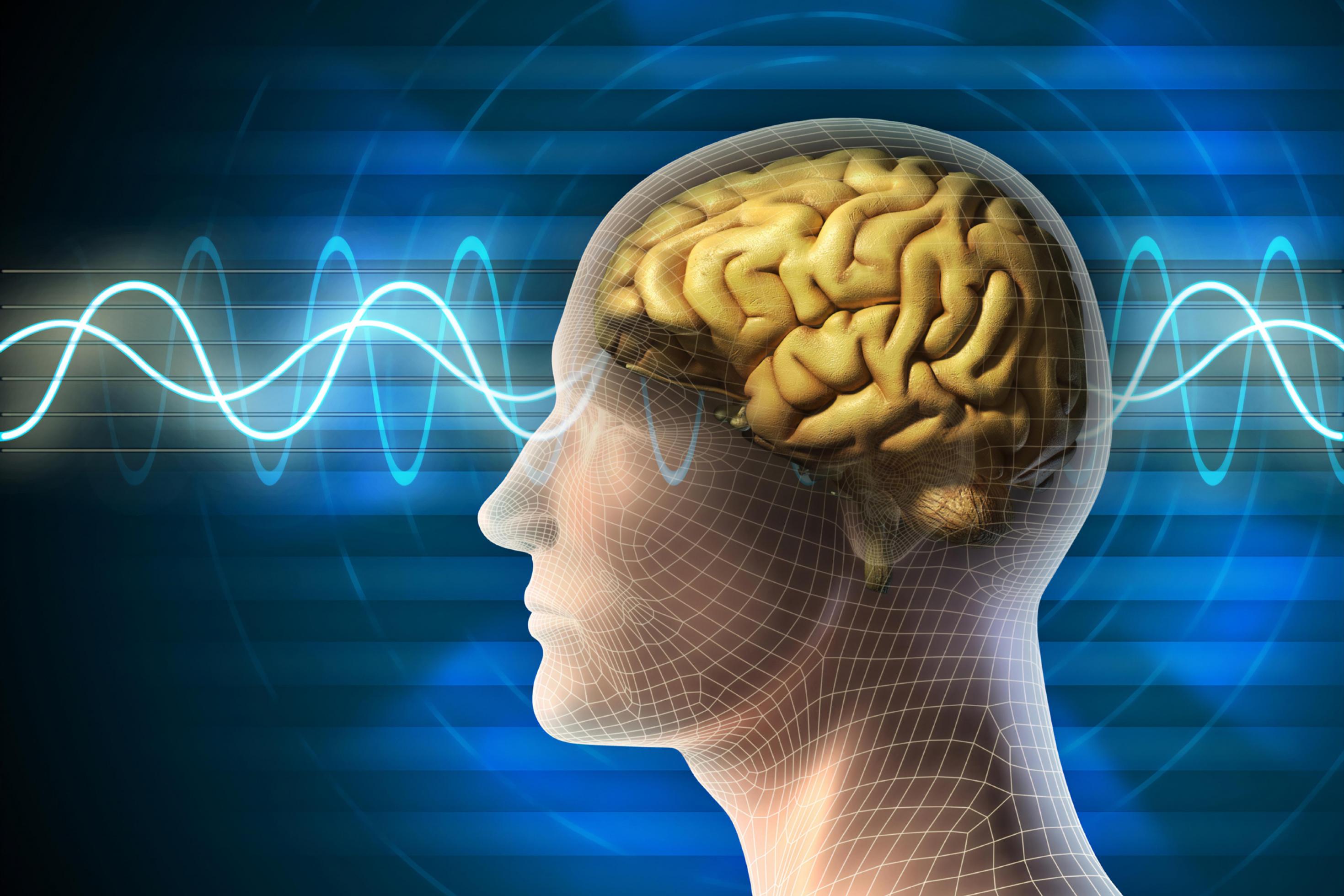 Die Grafik zeigt vor blauem Hintergrund die Silhouette eines Kopfes mit einem gelb eingezeichneten Gehirn darin. Von links nach rechts durchlaufen Wellen den Kopf, die Hirnaktivitäten und die Zeit symbolisieren.