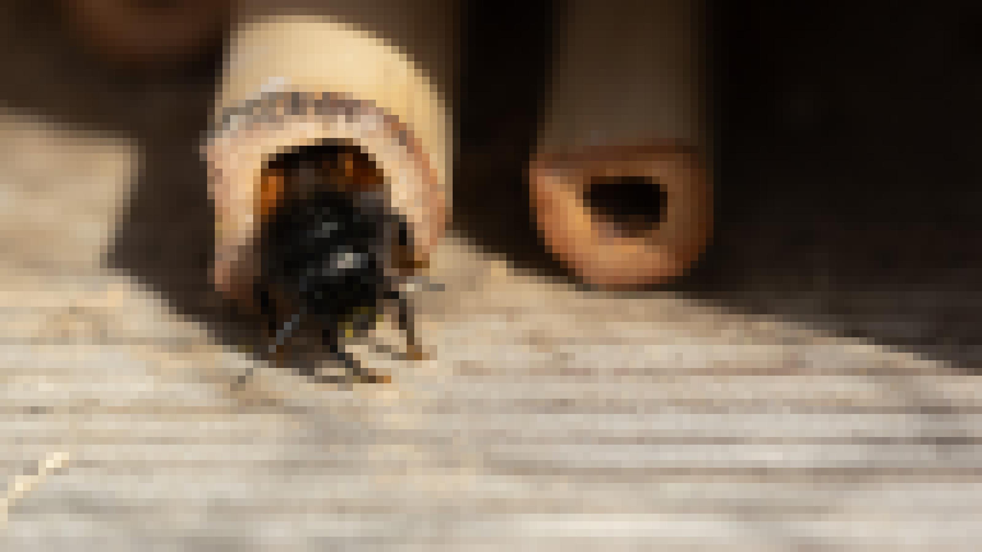 Eine schwarz-orange Wildbiene steckt mit dem Hinterleib in einer Bambusröhre.
