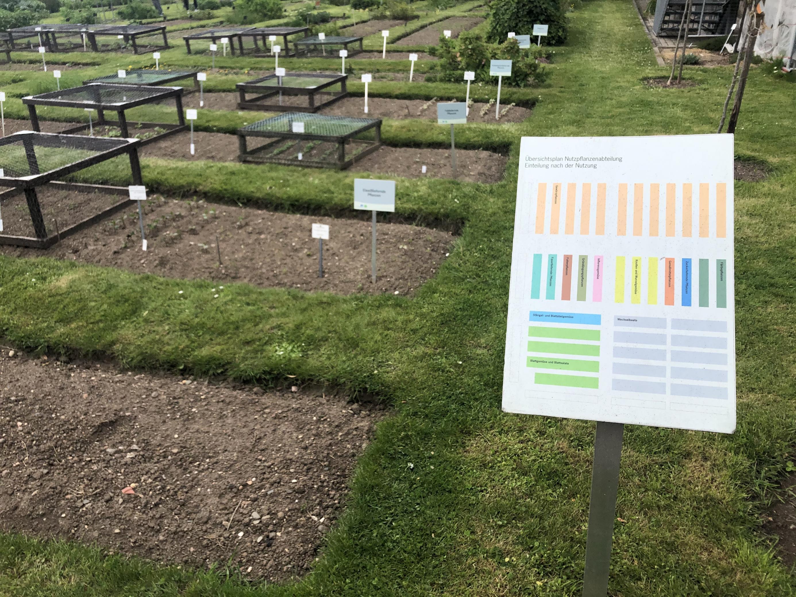 Der Nutzpflanzengarten der Universität Bonn und des Botanischen Gartens Bonn hegt rund 2.000 Sorten. Im Bild der 1861 eingerichtete „Nutzpflanzengarten Teil 1“. Eine Schautafel im Vordergrund der rechteckigen Beete zeigt den Übersichtsplan des Gartens, der sich an der Nutzung der Pflanzen orientiert. (März 2021)