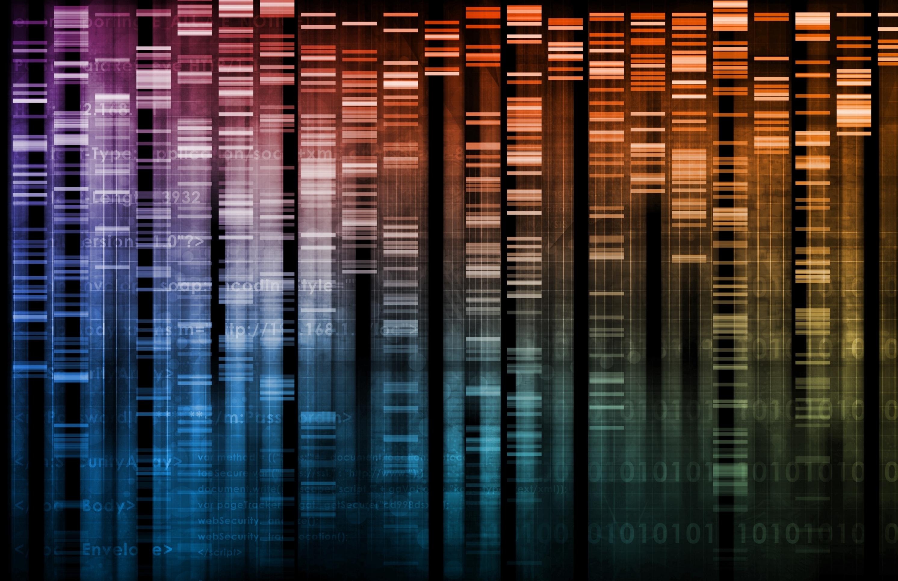 Eine Visualisierung genetischer Daten