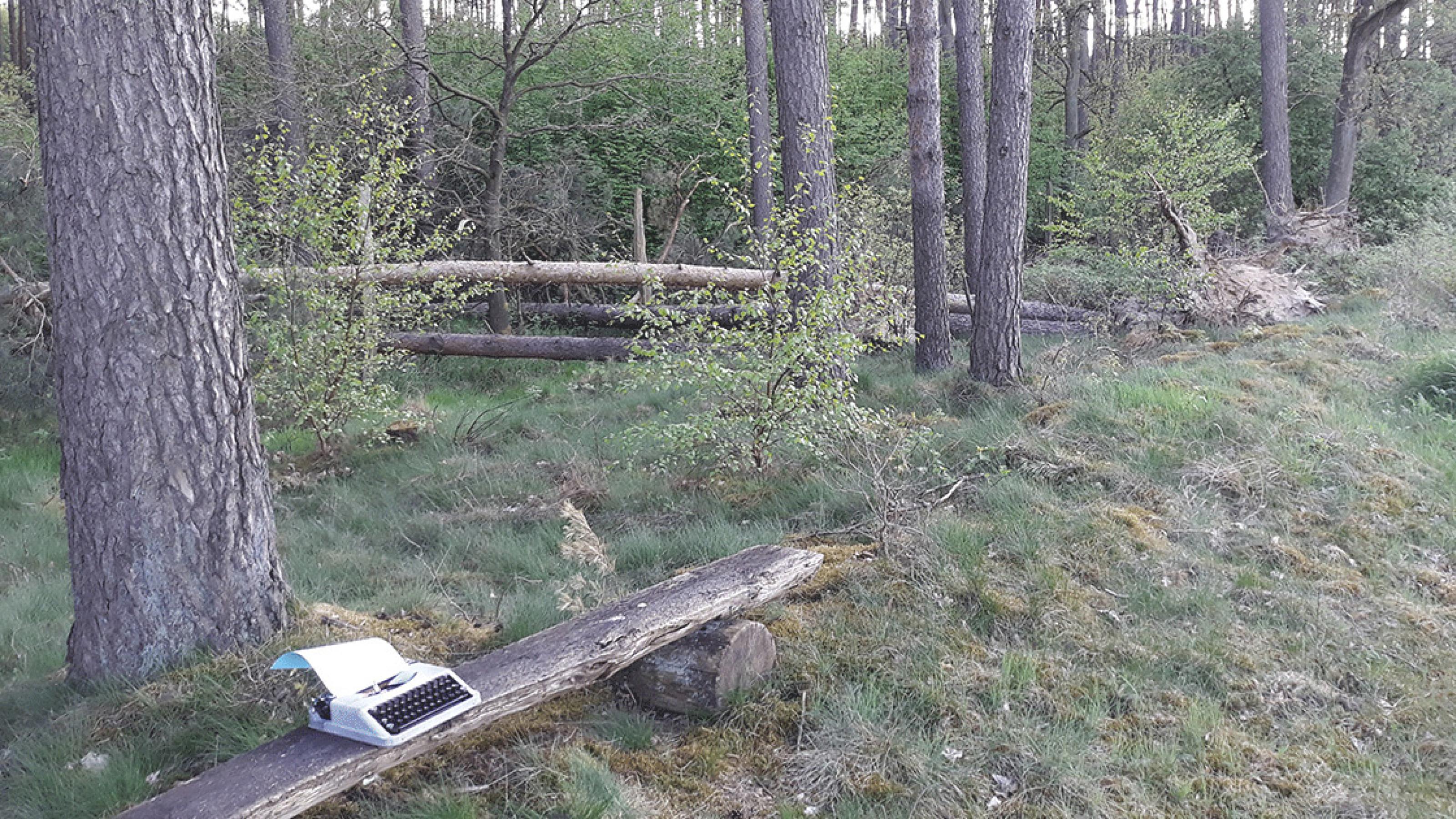 Links unten im Bild steht eine Schreibmaschine auf einer Holzbank in einem Mischwald. Es ist ein Blatt Papier eingezogen.