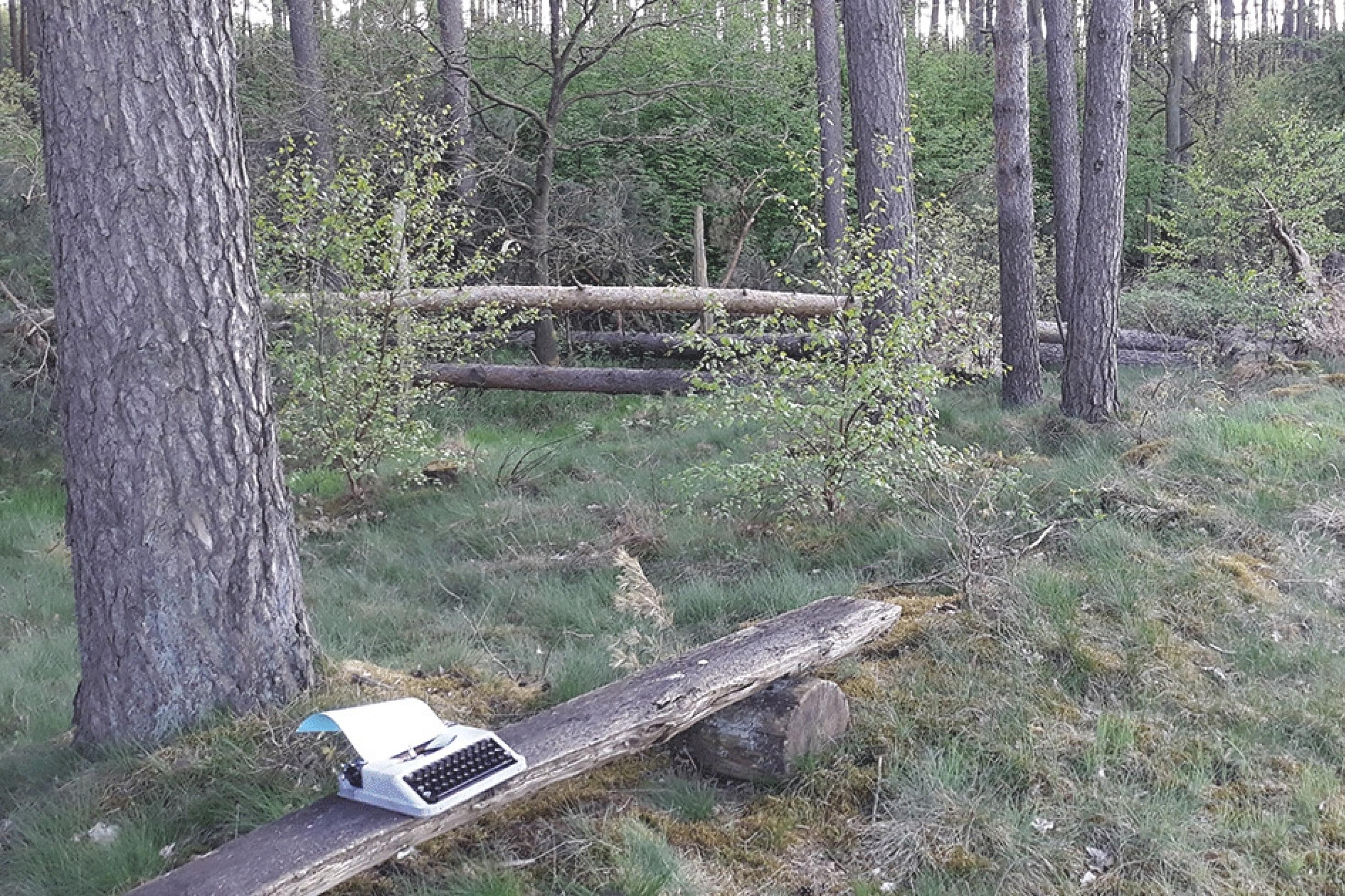 Links unten im Bild steht eine Schreibmaschine auf einer Holzbank in einem Mischwald. Es ist ein Blatt Papier eingezogen.