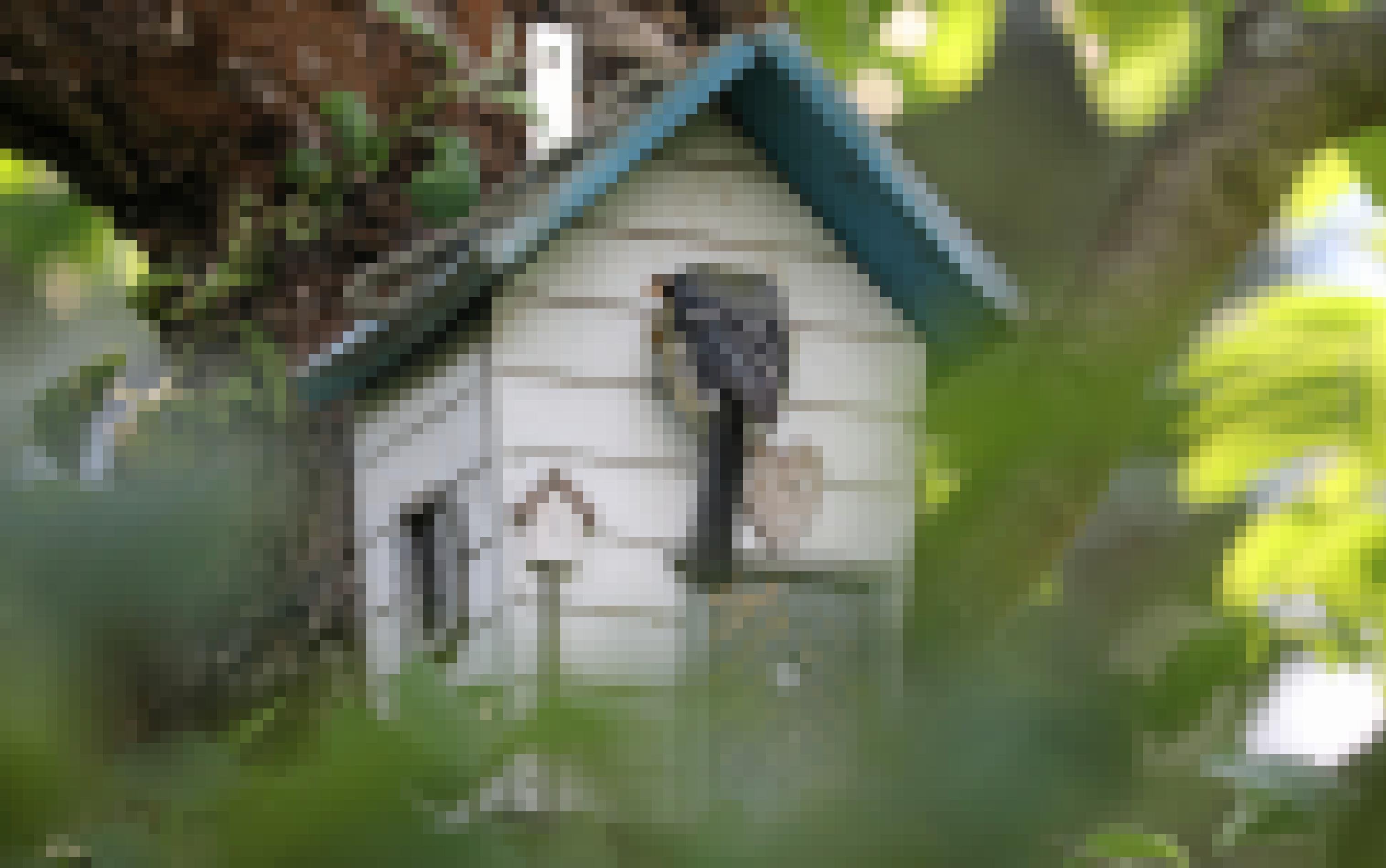 Eine Meise verschwindet in einem Nistkasten, der beschriftet ist mit „Fly Inn“