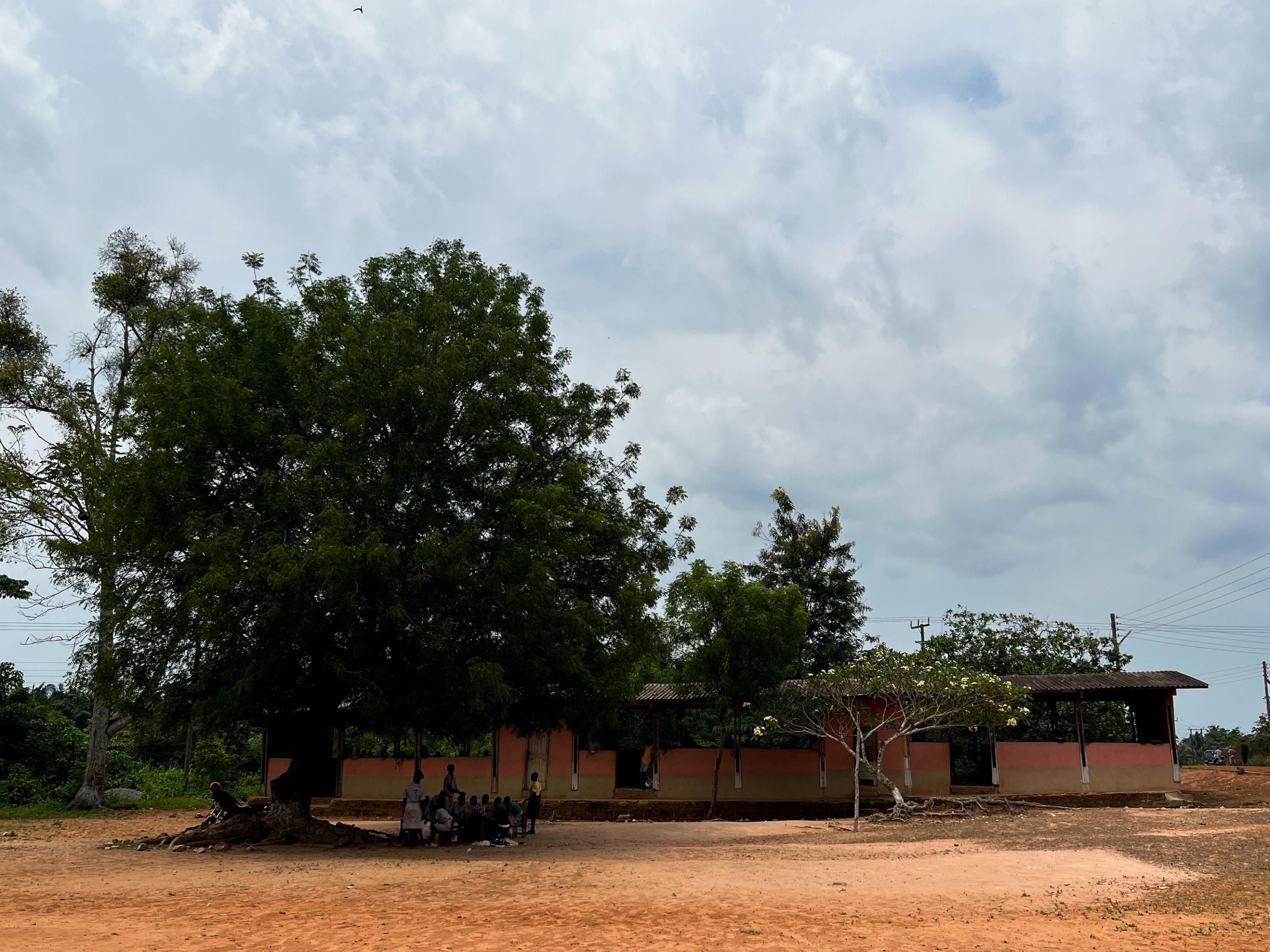 Ein hoher Baum neben einem flachen Schulgebäude, das aus einem Riegel besteht. Der Baum lässt das Gebäude noch kleiner aussehen. Im Schatten des Baumes sitzen einige Schülerinnen und Schüler in ihren gelb-braunen Schuluniformen.
