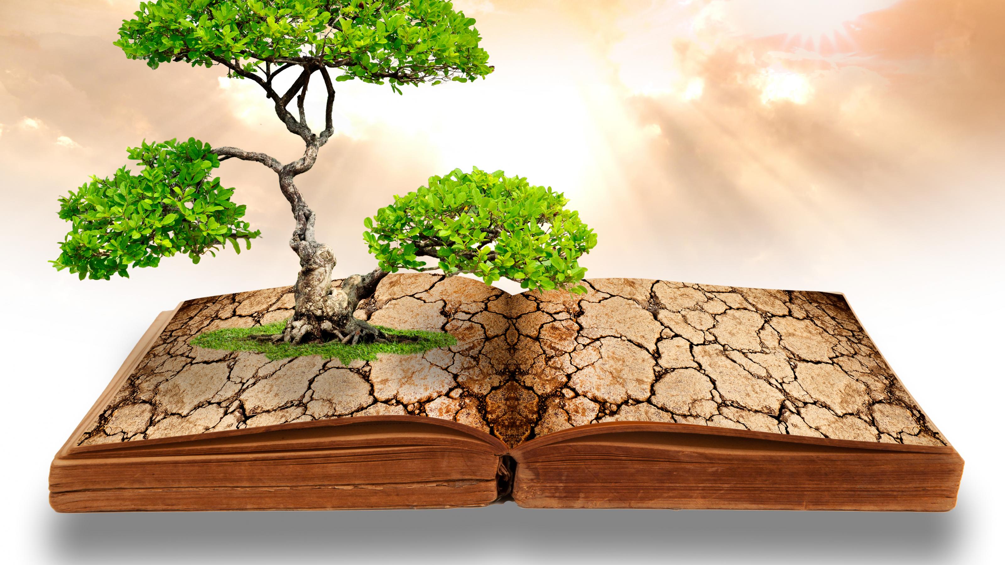 Illustration der „globalen Erwärmung“ in der Literatur