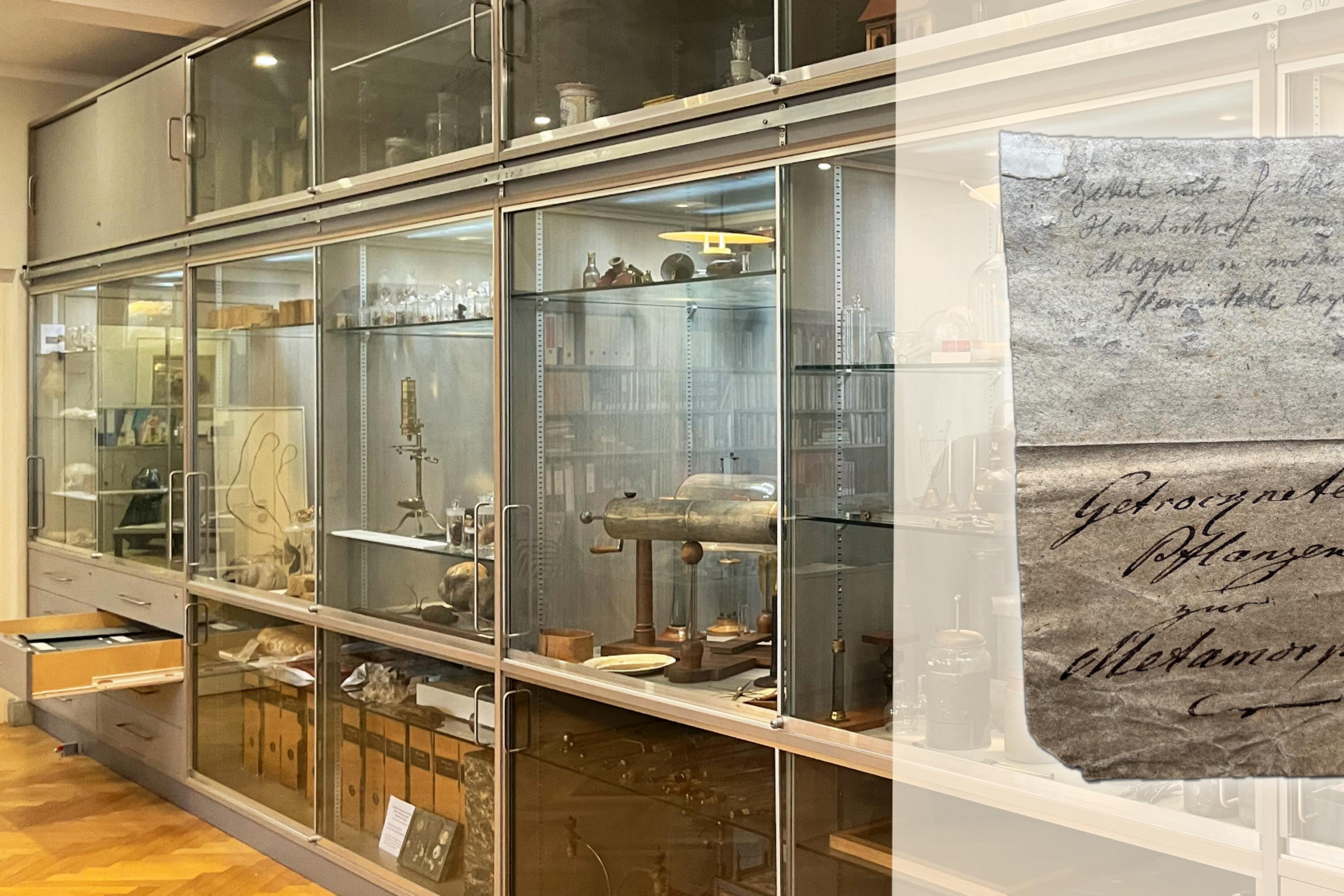 Blick in Goethes naturwissenschaftliches Kabinett entlang der langen Schwankwand, in dem rund 5000 Objekte lagern. Rechts im Bild ist ein Schriftstück Goethes überlagert mit Goethes gut lesbarer Handschrift, in der dort u.a. steht: Getrocknete Pflanzen zur Metamorphose.