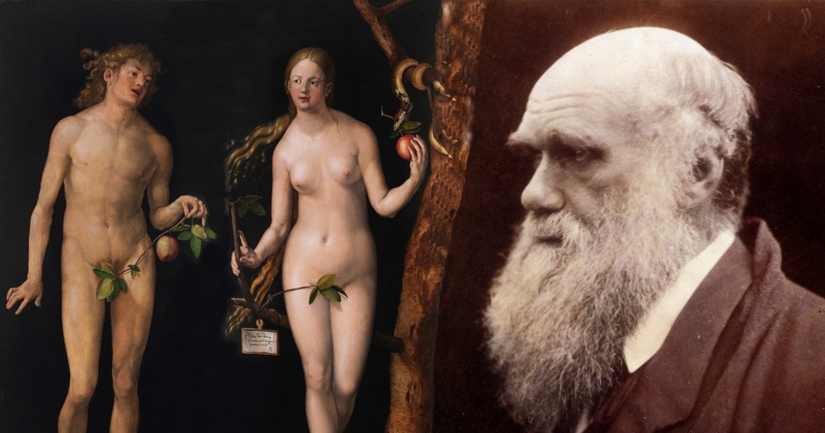 Wer schuf den Menschen – Gott oder die Evolution?