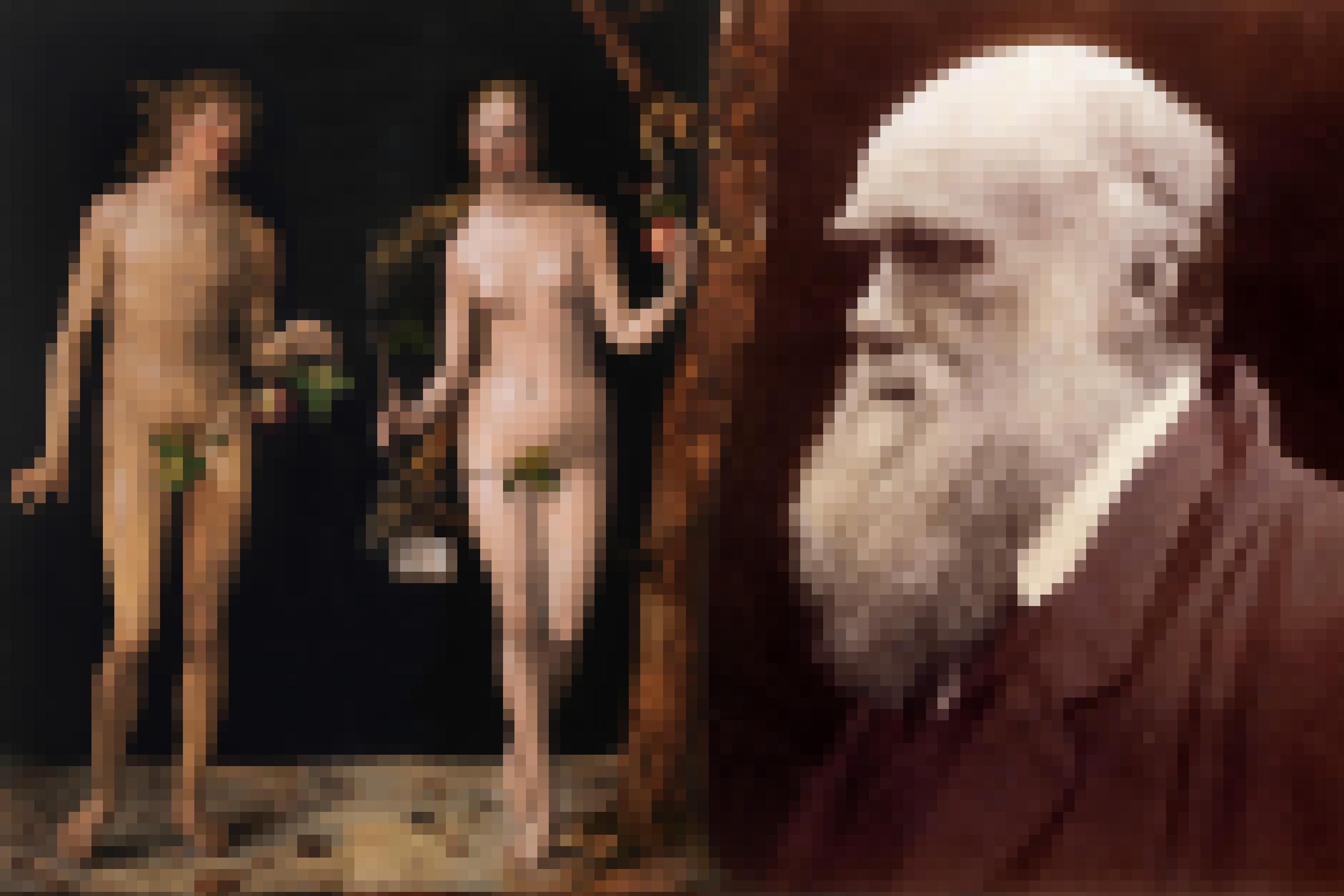 Das Bild zeigt links Darstellungen von Adam und Eva, die Albrecht Dürer im Jahr 1507 malte. Die Figuren sind hellhäutig, nackt und die Geschlechtsteile sind von Zweigen bedeckt. Eva hält einen Apfel in der Hand und im Baum neben ihr lauert eine Schlange. Laut Bibel schuf Gott die beiden ersten Menschen. Charles Darwin, dessen Foto als älterer Mann mit Glatze und üppigem, weißen Bart auf der rechten Seite dieser Collage zu sehen ist, war sich dagegen sicher, dass die Evolution den Menschen in einem langwierigen Prozess hervorgebracht hat.