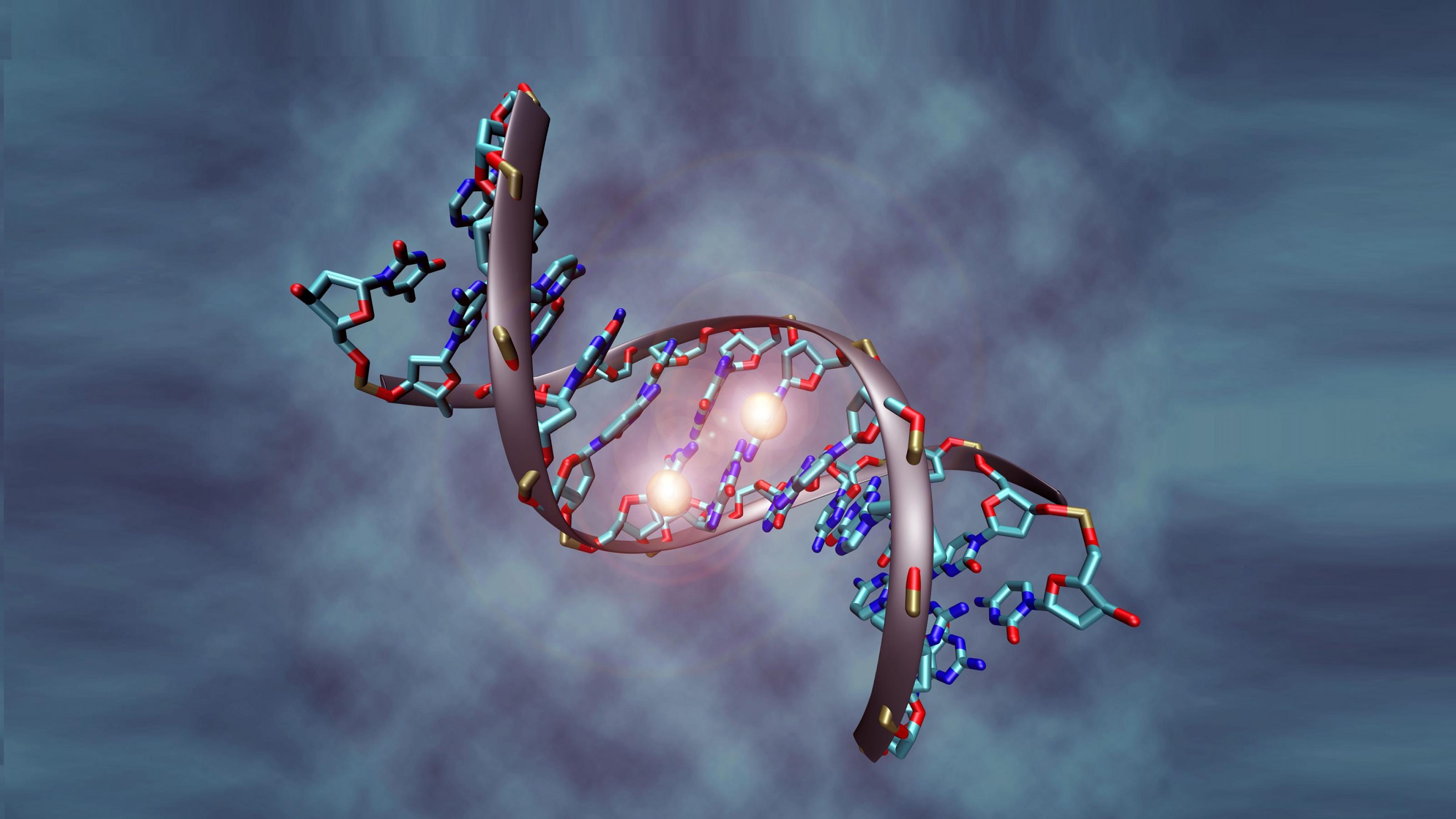 Symbolbild der Riffreporter-Koralle Erbe&Umwelt: Grafische Darstellung eines DNA-Abschnitts mit methylierter DNA