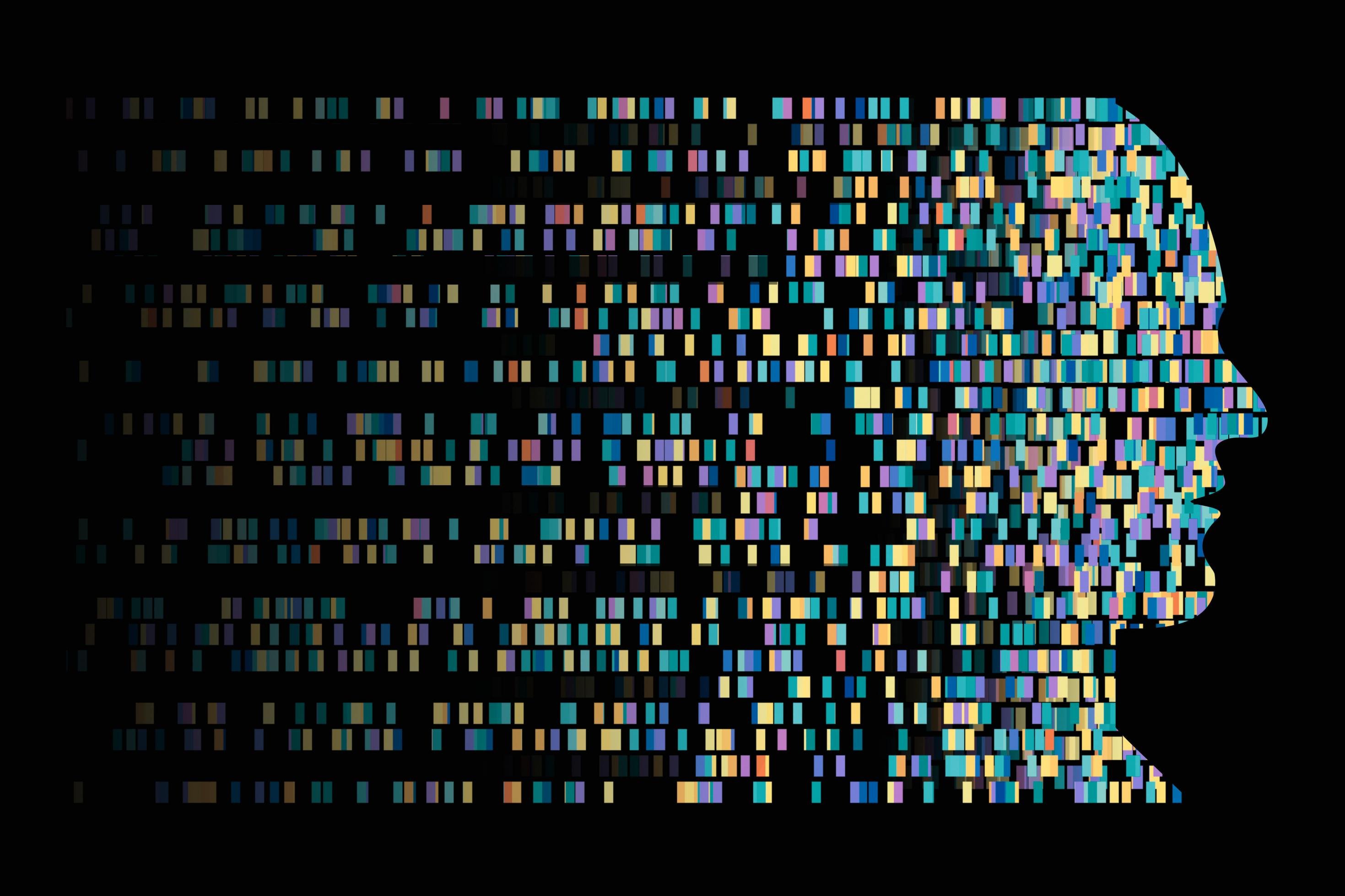 Die Grafik zeigt den Kopf eines Menschen, der aus verschiedenen farblich markierten Bausteinen zusammengesetzt ist. Er ist ein Symbol für den Einfluss der Gene.