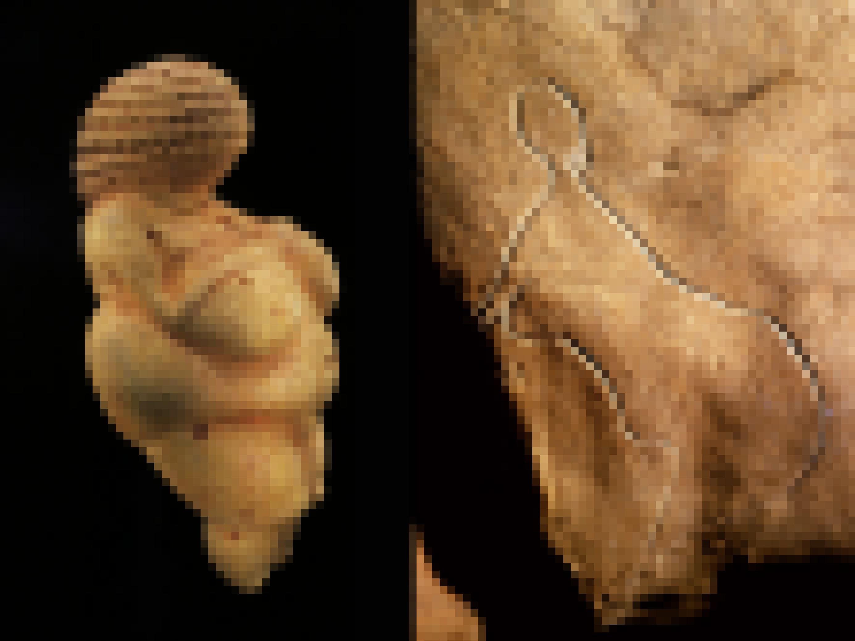 Auf der linken Seite dieser doppelten Abbildung ist die gelbliche Figur einer nackten, üppigen Frau zu sehen. Sie wurde in der Nähe von Wien gefunden und ist als Venus von Willendorf bekannt. Rechts ist der in den Fels geritzte Umriss einer Frau aus der Grotte de Cussac in Südwestfrankreich abgebildet. Figuren, Felszeichnungen und aufwendige Begräbnisse in Höhlen waren vor 25.000 bis 30.000 Jahren stark verbreitet. Forschende bezeichnen die Kulturepoche jener Zeit als Gravettien.