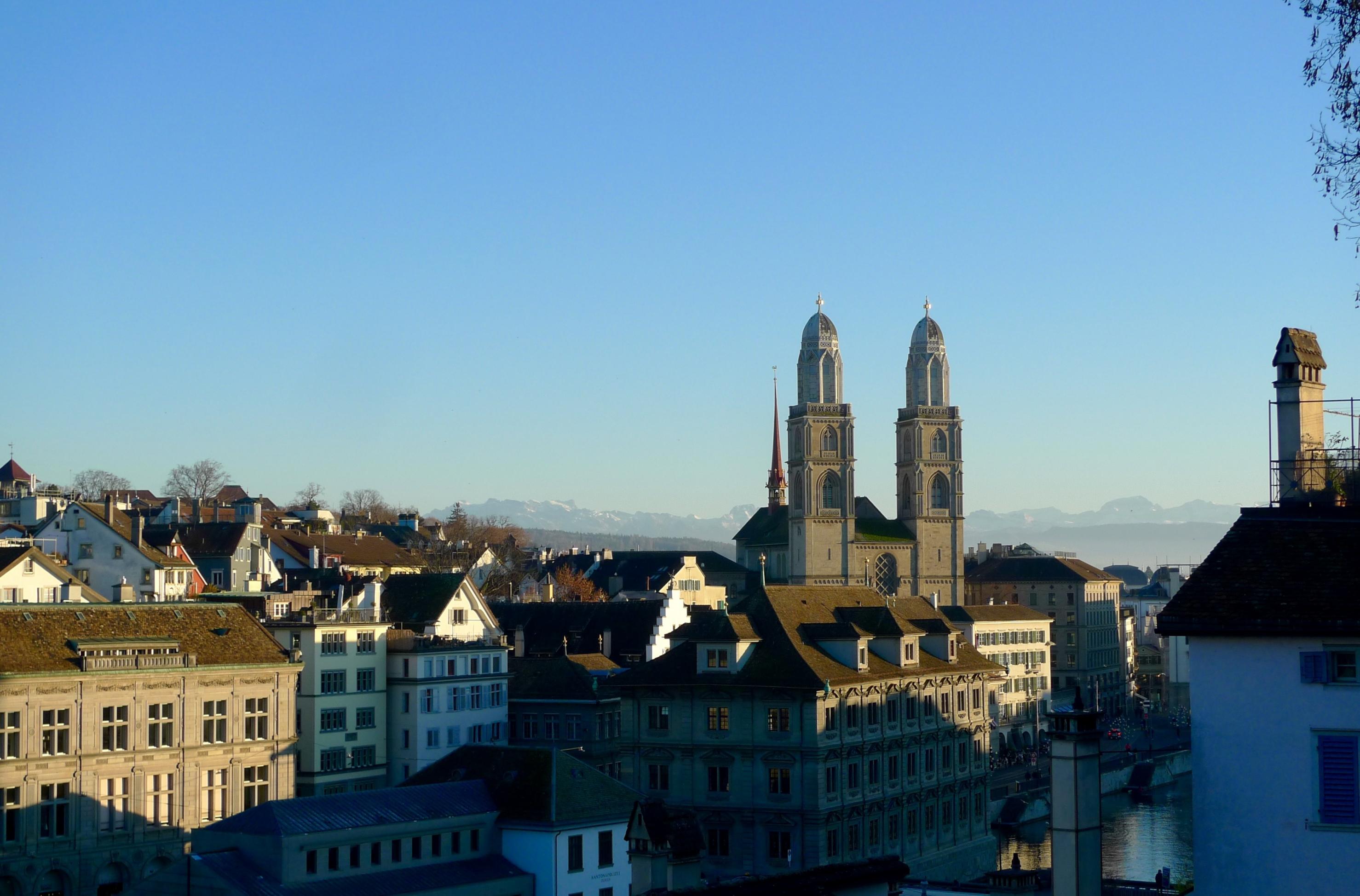 Blick auf die Altstadt von Zürich mit dem Grossmünster. Dort nisten Alpensegler. Hohe Gebäude sind für sie Ersatzfelsen.
