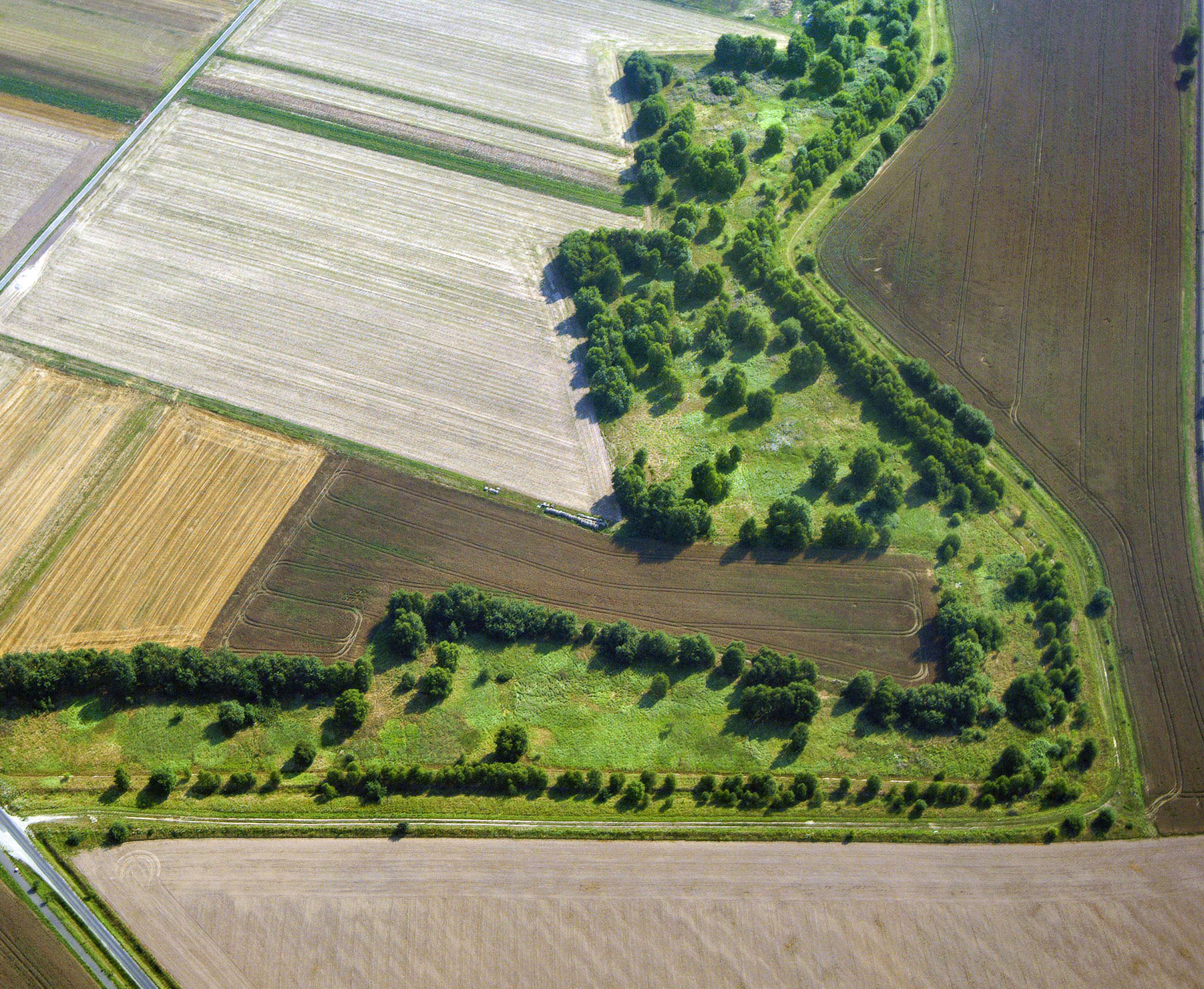 Zwischen Äckern zieht sich im Zickzack das Grüne Band durch die Landschaft. Blick aus der Luft.