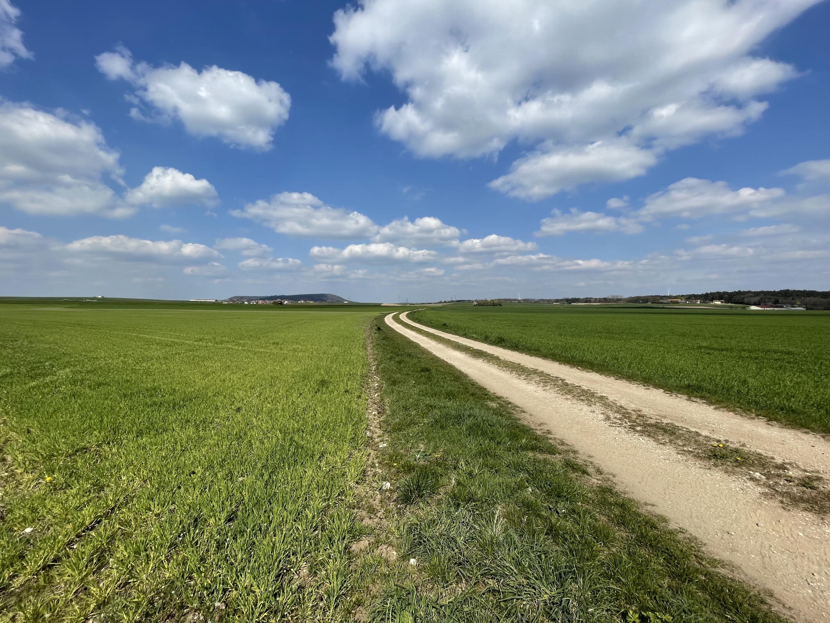 Feldweg führt durch leere Landschaft, Feld geht bis an den Weg heran.