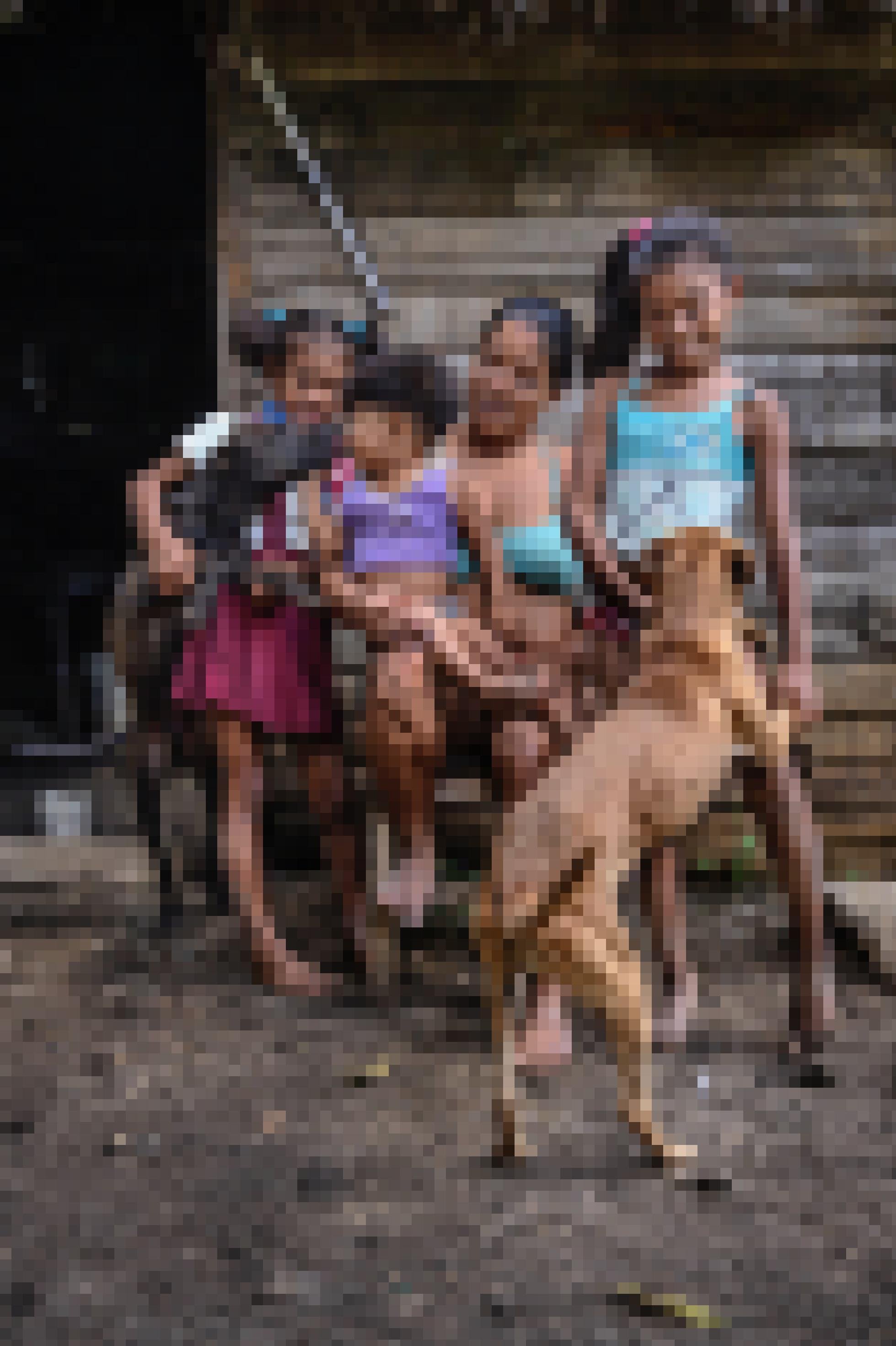 Eine Mutter mit ihren zwei Töchtern und einem Son mit den beiden Hunden sitzen zum Familienfoto vereint vor ihrem „bohío“, einem traditionell mit Palmstroh gedeckten Holzhaus.