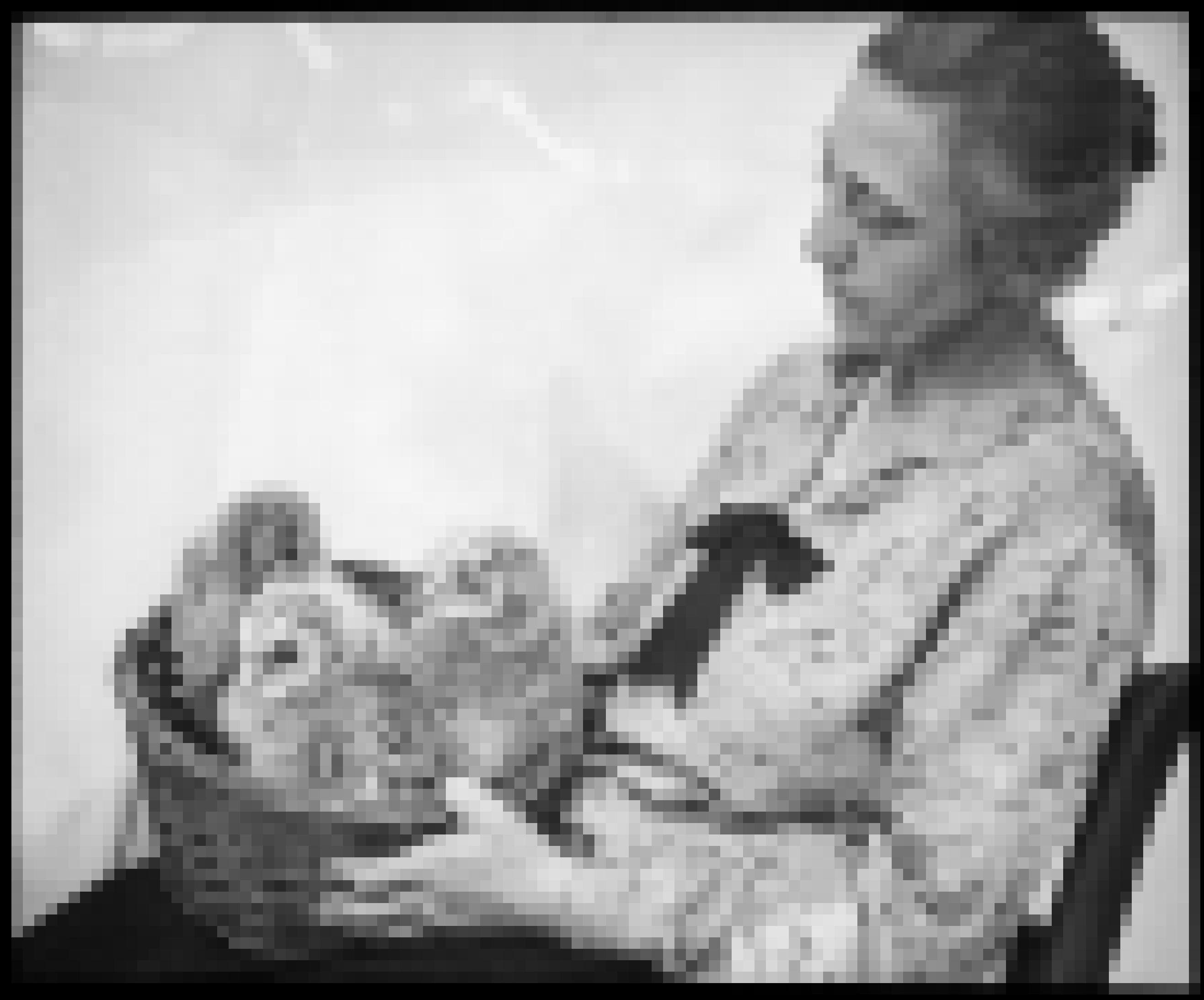 Auf dem Schwarz-Weiß-BIld ist Magdalena Heinroth zu sehen, sie sitzt auf einem Stuhl und hält einen Korb auf dem Schoß. Darin sitzen drei kleine Habichtskäuze.