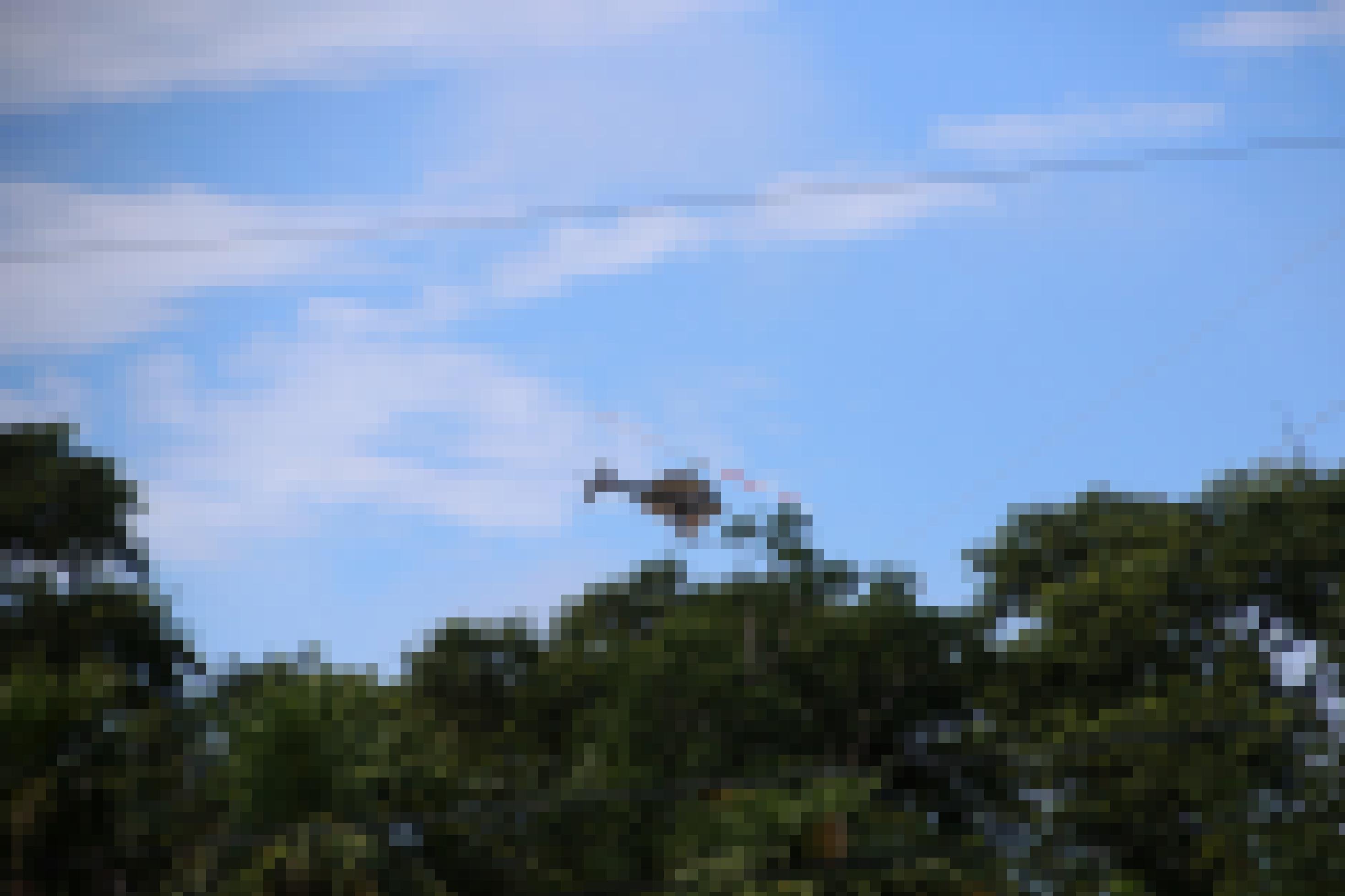 Ein Helikopter des „Florida Keys Mosquito District“ versprüht Insektizide