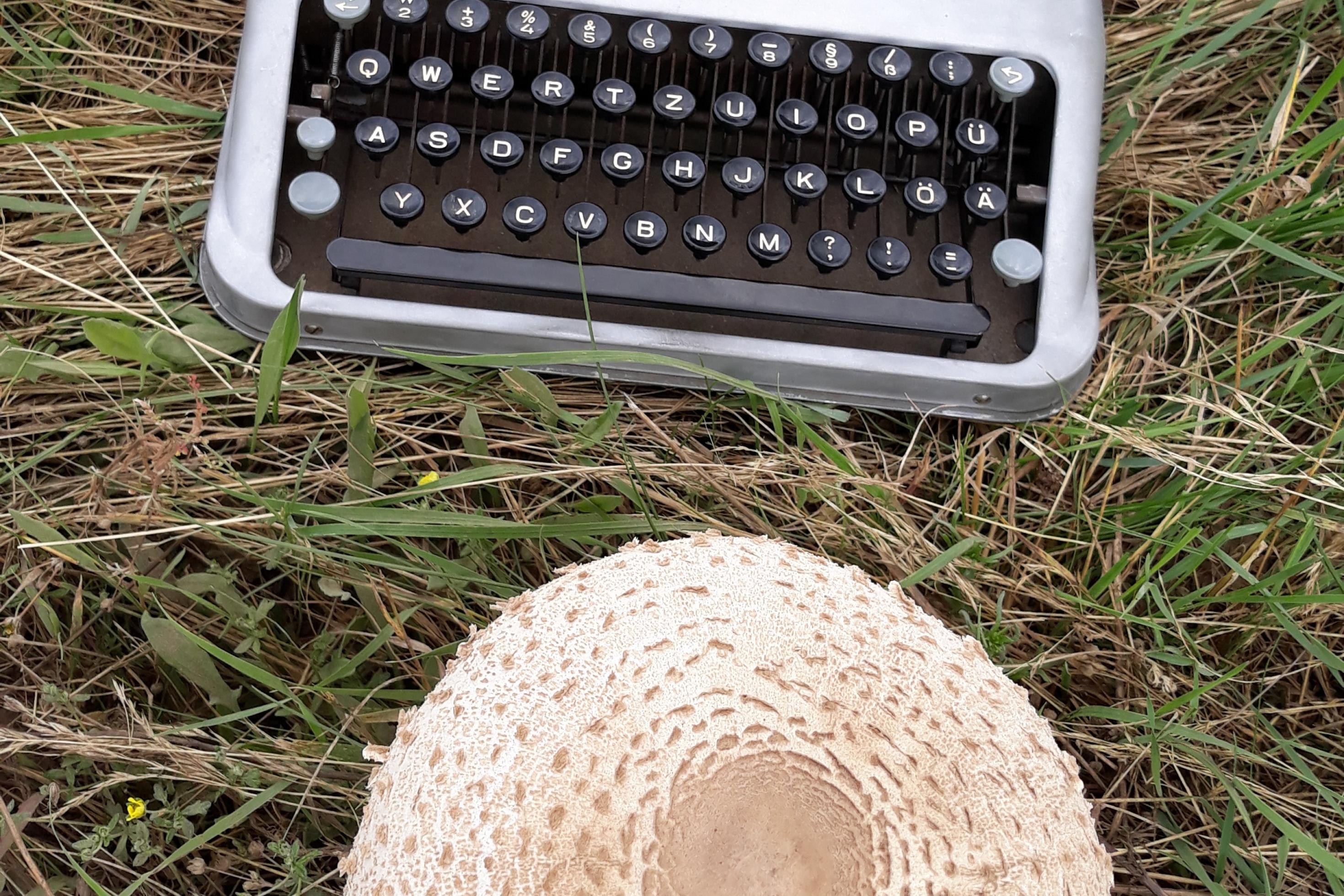 Pilz und Schreibmaschine auf Wiese