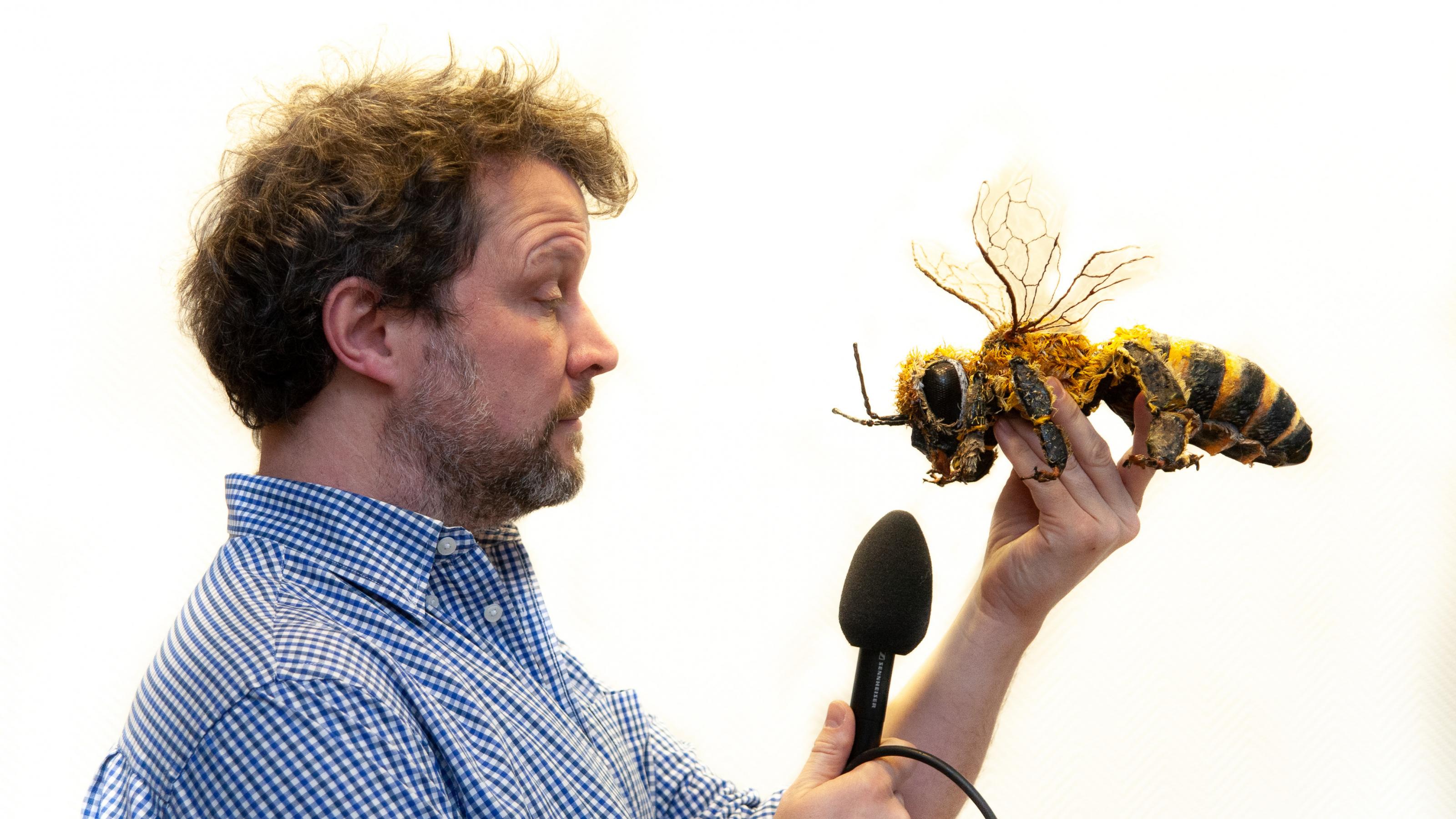 Ein Mann hält einer großen Biene aus Pappmaché ein Mikrofon vor den Mund.