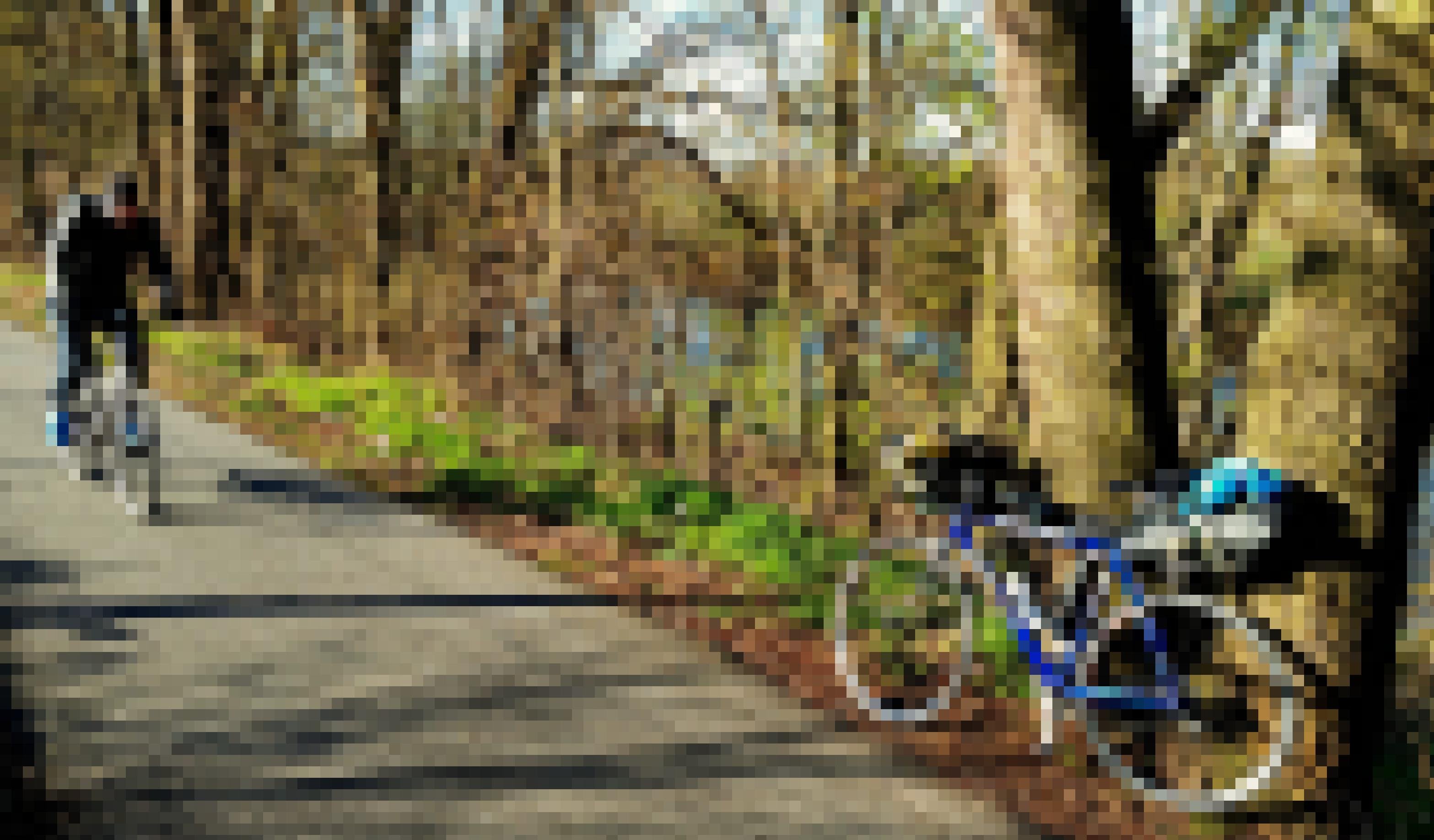 Das Rennrad des Reporters lehnt in der Sonne an einem noch unbelaubten Baum, am Rande eines Asphaltwegs; durch die Bäume schimmert Flusswasser.