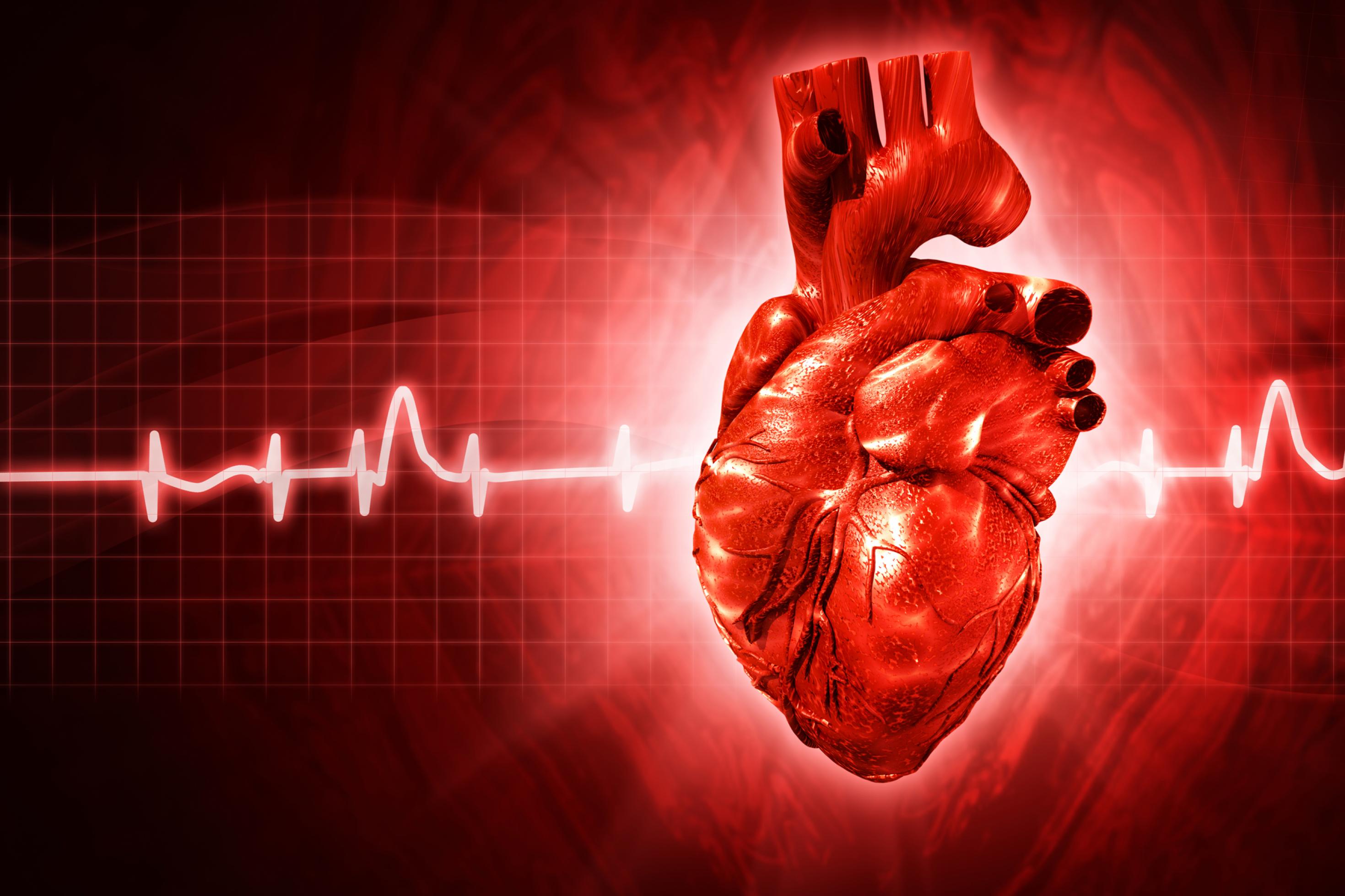 Das Bild zeigt in roter Farbe vor schwarzem Hintergrund die grafische Darstellung eines menschlichen Herzens und dazu horizontal durchlaufend die Rhythmuskurve – das EKG – des schlagenden Herzens.
