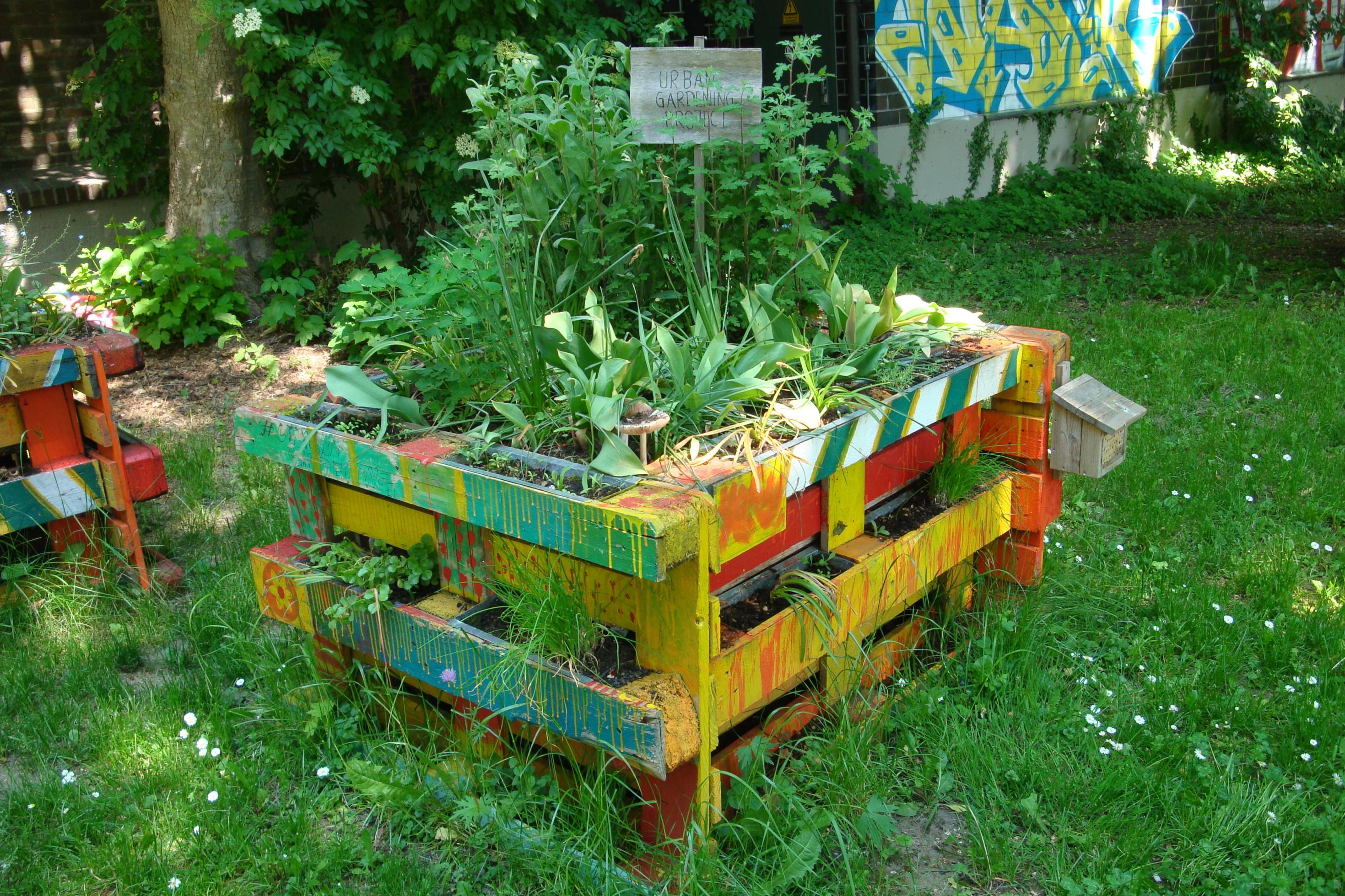 Schüler und Schülerinnen der Realschule St. Ursula in Augsburg pflegen seit einigen Jahren Hochbeete außerhalb des Schulgeländes am nahe gelegenen Vogeltor, auf einem kleinen Wiesengrundstück schräg gegenüber der City Galerie. (Juni 2021)