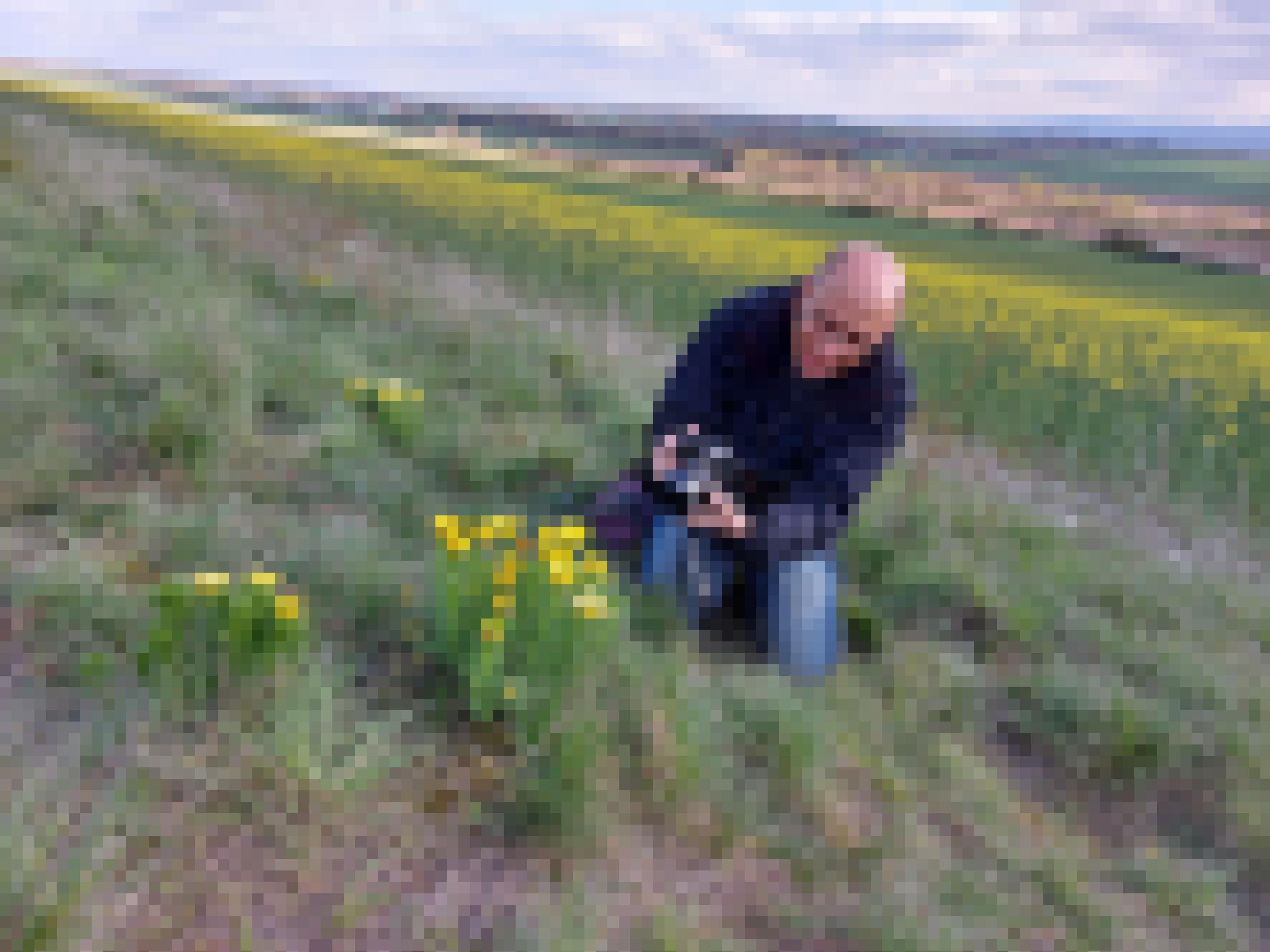 Büchs kniet vor einem Adonisröschen in weiter Landschaft und hat eine  Kamera in der Hand.