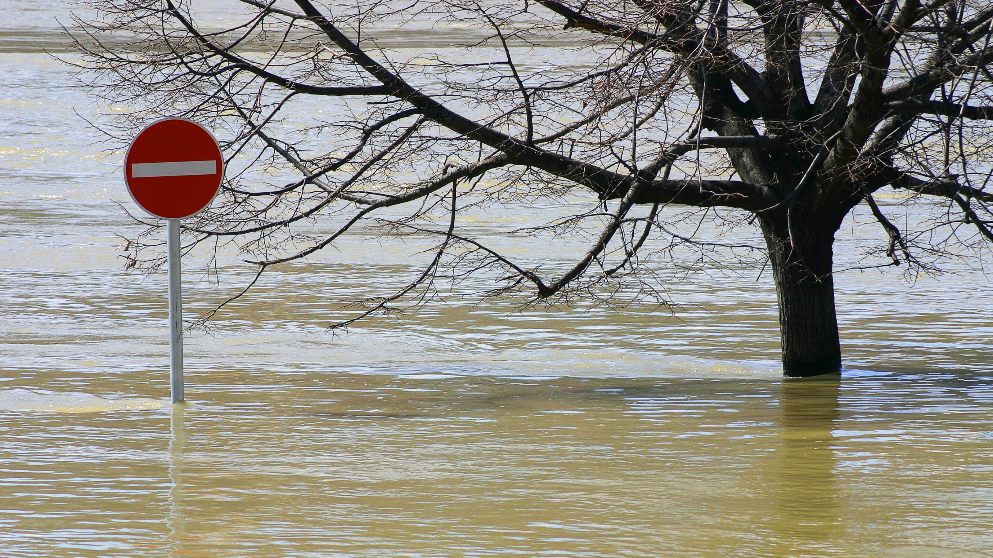 Ein Stoppschild und ein Baum stehen im Hochwasser.