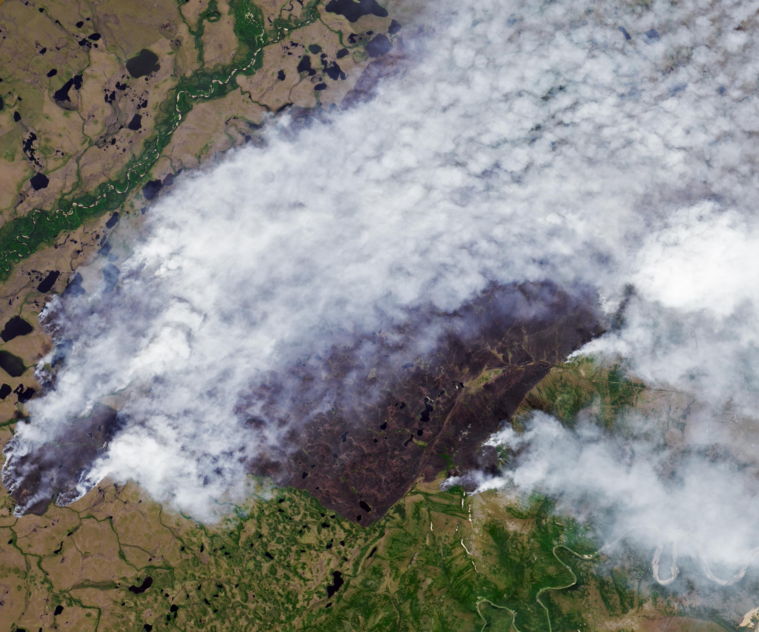 Satellitenaufnahme das ein Gebiet von ca. 27×27 Kilometern zeigt, auf dem die Erde von Feuern raucht.