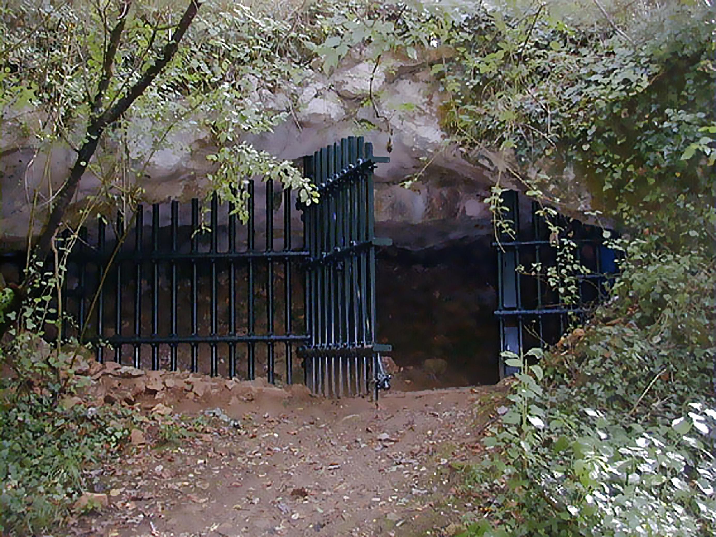 Als dunkles länglich-ovales Loch zeigt sich der Eingang der Grotte de Cussac. Er ist mit einem massiven Metallgitter vor unbefugten Besuchern geschützt. Links und rechts im Vordergrund stehen grünblättrige Sträucher und kleine Bäume, vorne in der Mitte befindet sich ein steiler Aufgang aus Steinen und felsigem Boden. Über dem Oval des Eingangs ist mächtiger grauer Felsen zu sehen, der das Dach der Höhle bildet. Tief im Inneren der riesigen Grotte, die sich vom Eingang aus 1000 Meter in die eine und 600 Meter in die andere Richtung erstreckt, finden sich die 30.000 Jahre alten steinzeitlichen Gräber.