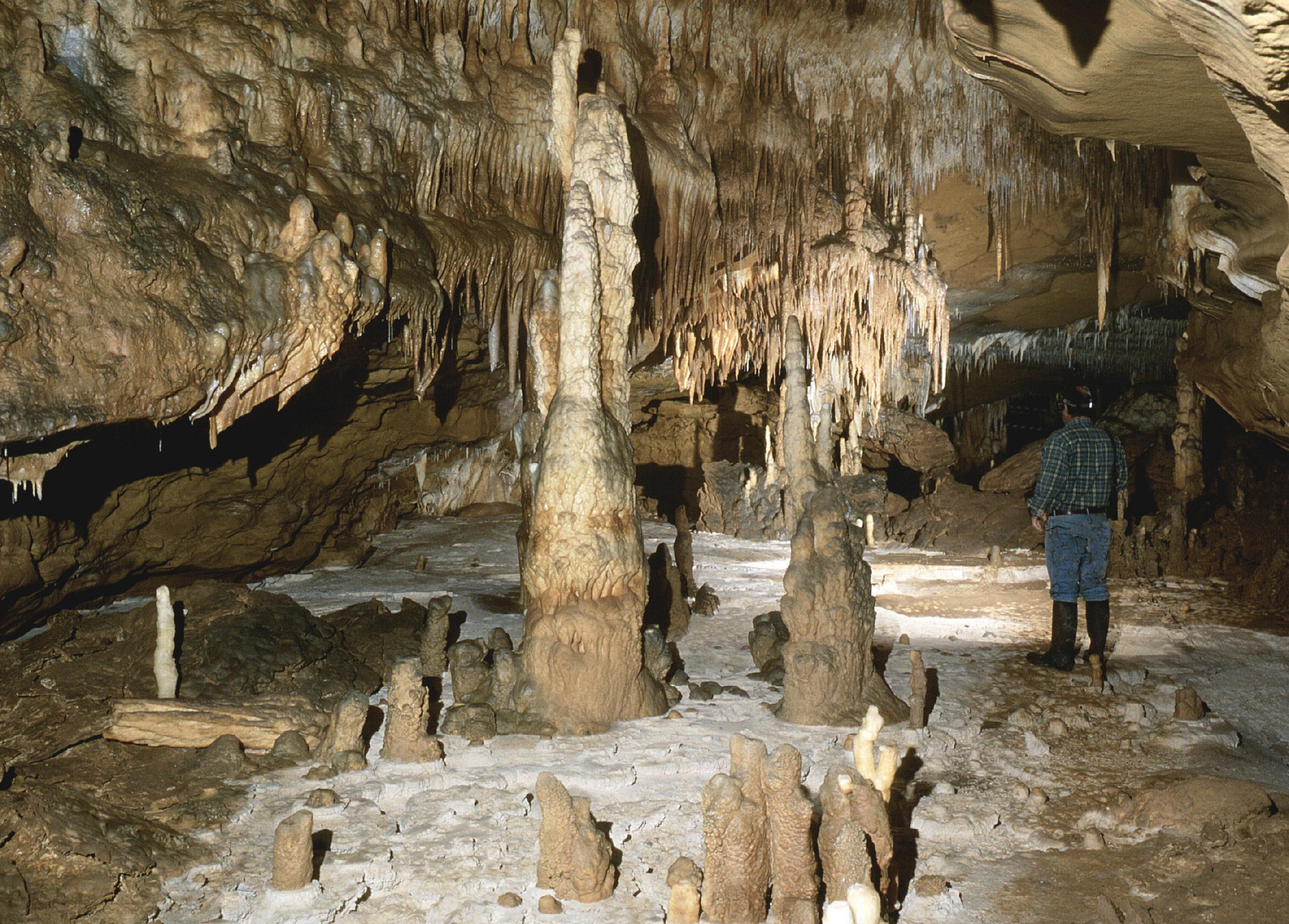 Dieses Foto aus dem Inneren der Grotte de Cussac zeigt einen flachen Gang, auf dessen Boden säulenförmige Tropfsteingebilde (Stalagmiten) nach oben ragen und an dessen Decke bizarr geformte, spitze Tropfsteinzacken (Stalagtiten) hängen. Auf der rechten Seite in dem Gang steht ein Forscher des internationalen Teams und schaut in die Tiefe, wo die Gräber der Steinzeitmenschen liegen.