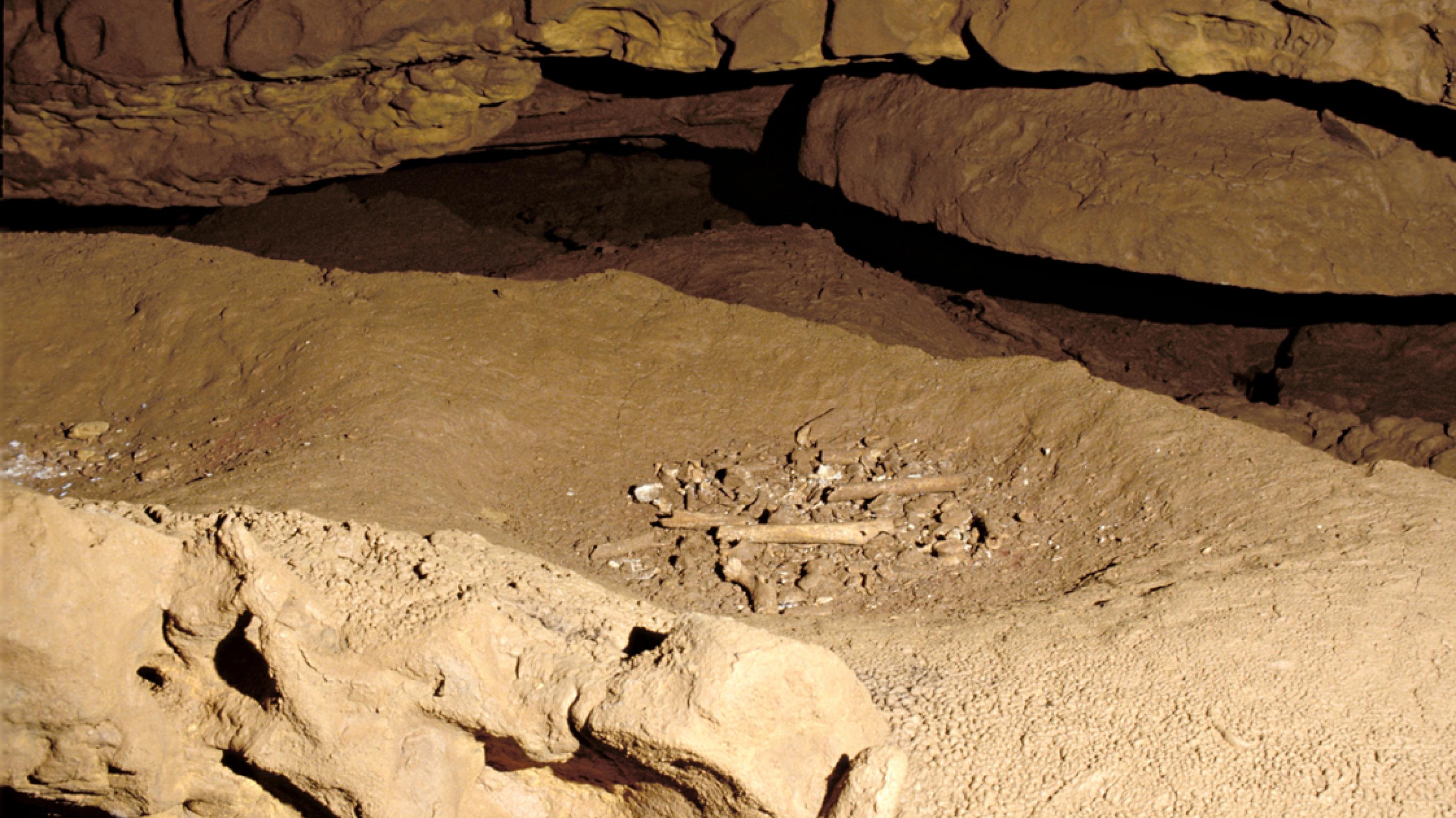 Zu sehen ist hinten-oben die sandfarbene Wand der Grotte de Cussac, weiter vorne eine Felserhöhung und dazwischen eine Mulde, in der menschlichen Knochenrelikte durcheinandergewürfelt liegen – eine Grabstätte. Jäger und Sammler der Steinzeit haben vor 30.000 Jahren ihre Toten bereits regelmäßig bestattet.
