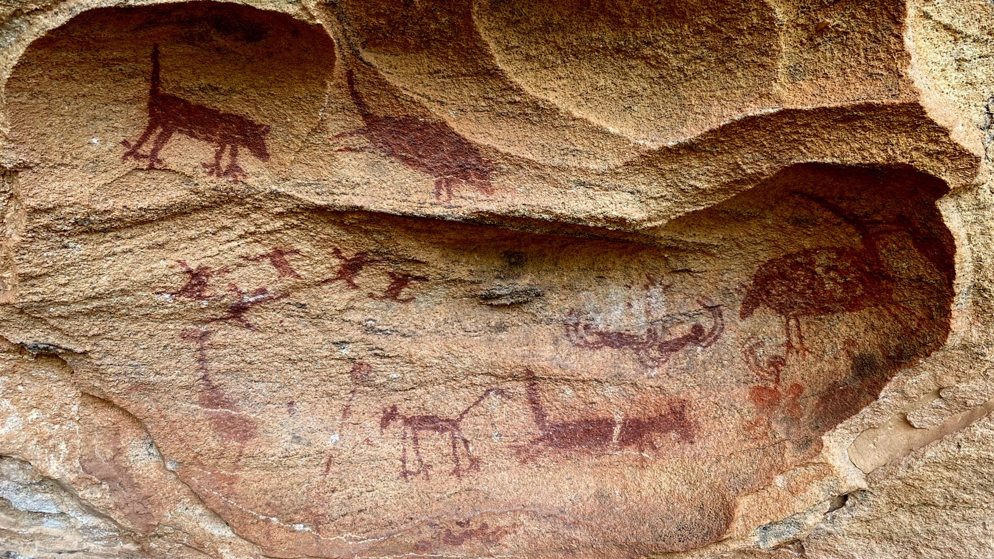 Auf eine helle Steinwand sind rotbraune Figuren gezeichnet: Sie zeigen Huftiere und Menschen bei der Jagd