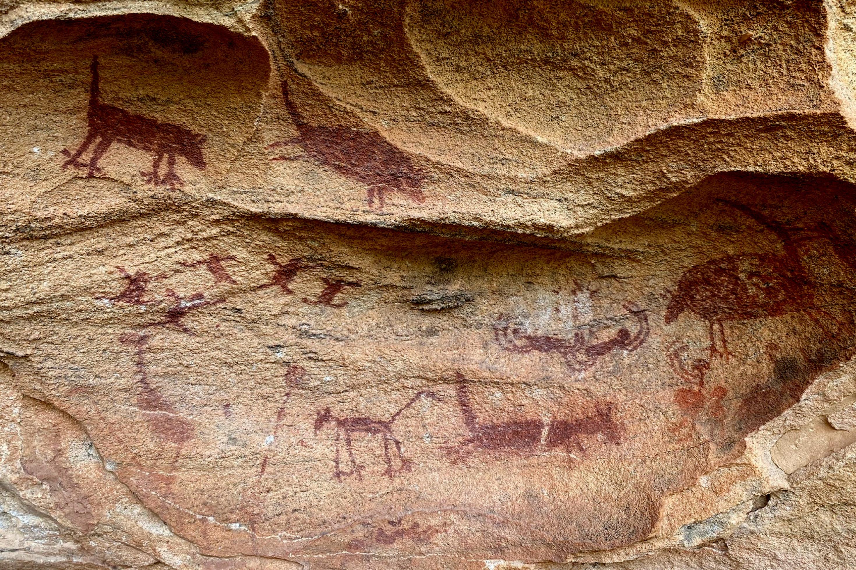 Auf eine helle Steinwand sind rotbraune Figuren gezeichnet: Sie zeigen Huftiere und Menschen bei der Jagd