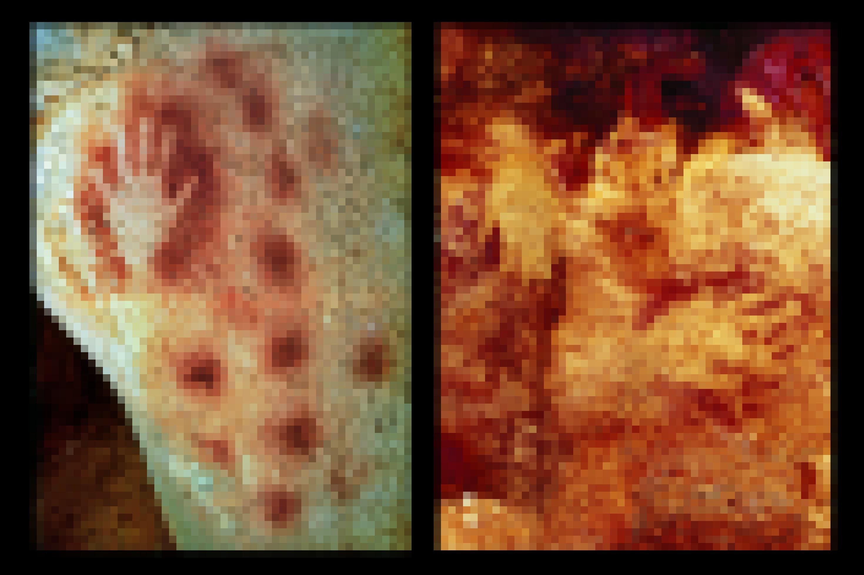 Links ist das Foto eines grün-bläulich-gelben Felsens zu sehen, auf dem sich links oben der Umriss einer menschlichen Hand abzeichnet, der von dunkelrotem Farbstoff umgeben ist. Rechts neben der Hand und unten finden sich zudem weitere dunkelrote Farbpunkte in regelmäßigen Abständen. Das rechte Bild zeigt eine Höhlenwand mit einem Gemisch aus gelblichen und dunkelroten Farbtönen, auf dem sich – nicht ganz einfach erkennbar – drei hellen Handflächen abzeichnen, die von dunkelroten Pigmenten umgeben sind.
