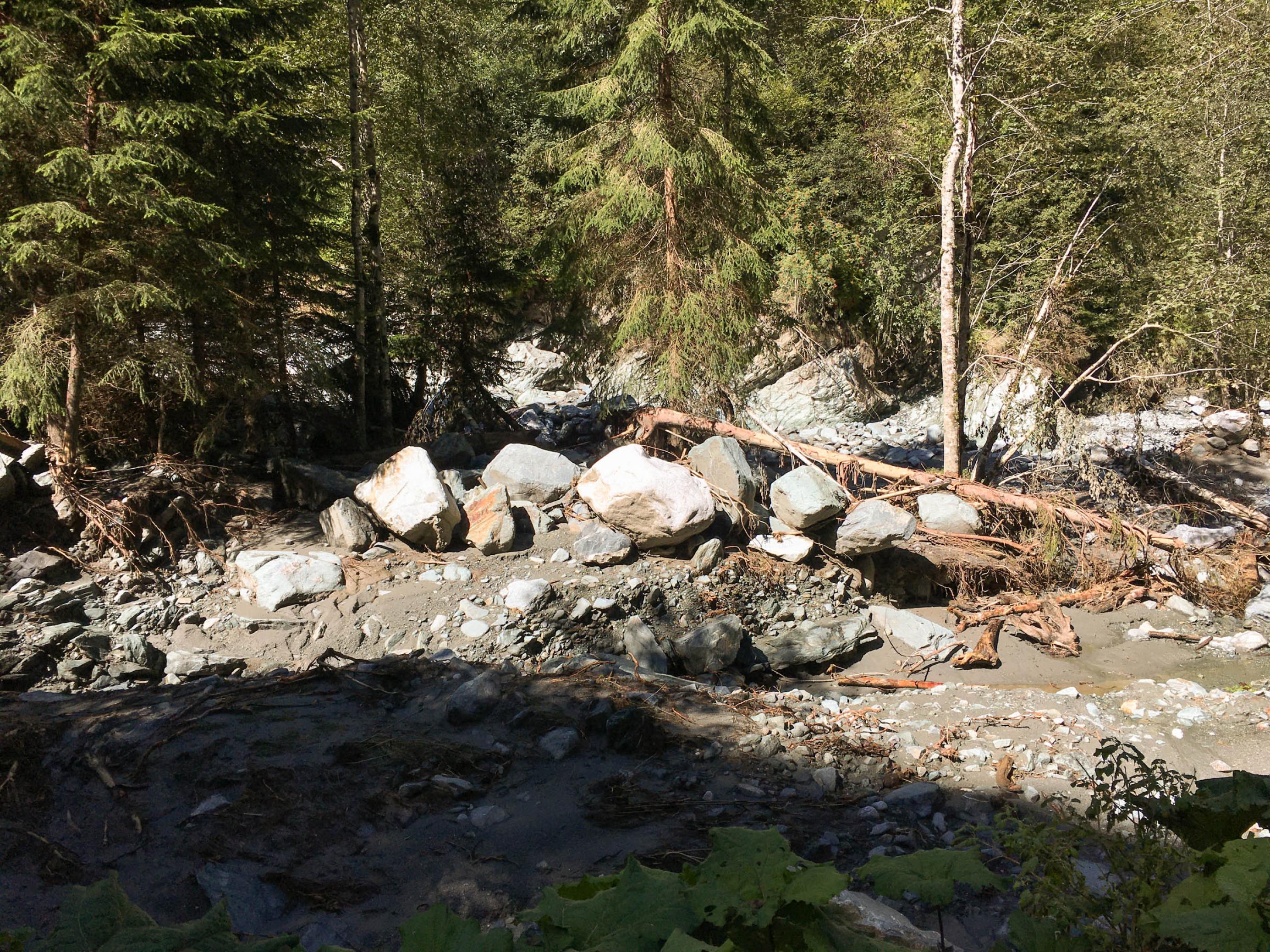 Große Steine, Schlamm und angeschwemmte Baumstämme  im Wald.